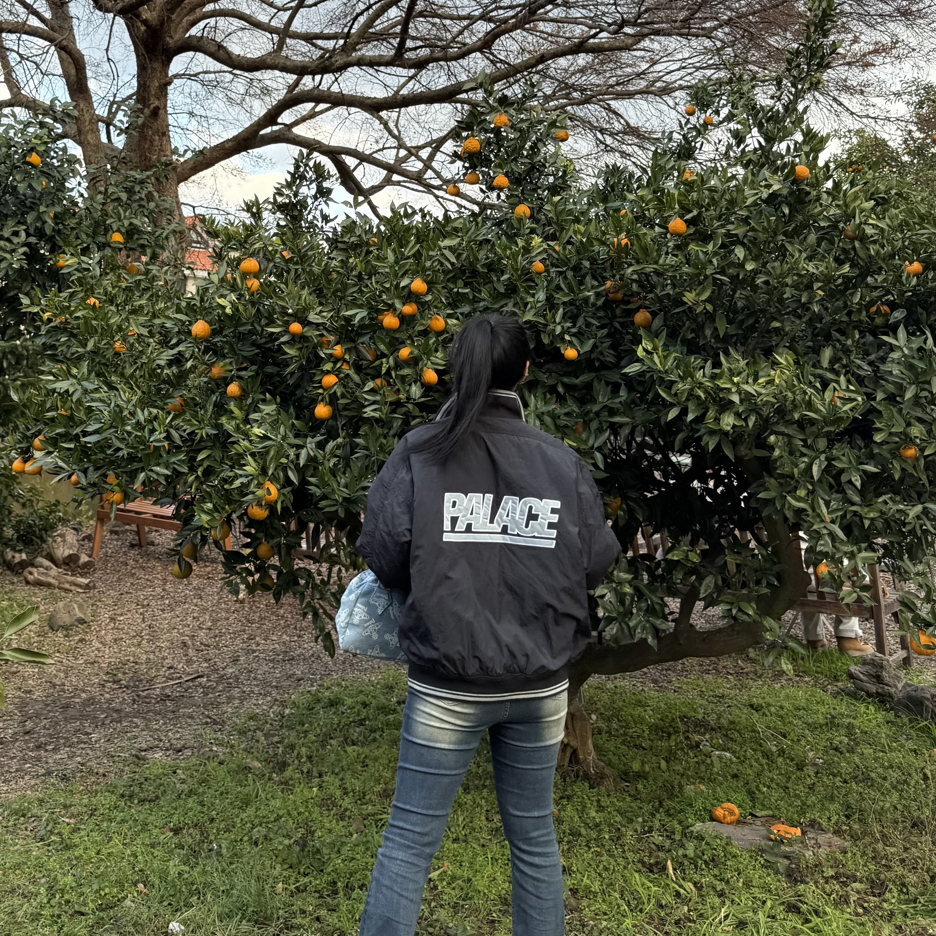 Palace Sport Mit Script Jacket Navy - 22FW, Palace x Vivienne Westwood Bowling Bag Orb Print - 24FW 착용 스타일 - 2