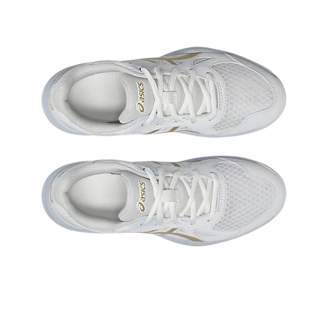 (GS) 아식스 업코트 6 화이트 샴페인((GS) Asics Upcourt 6 White Champagne) - 2