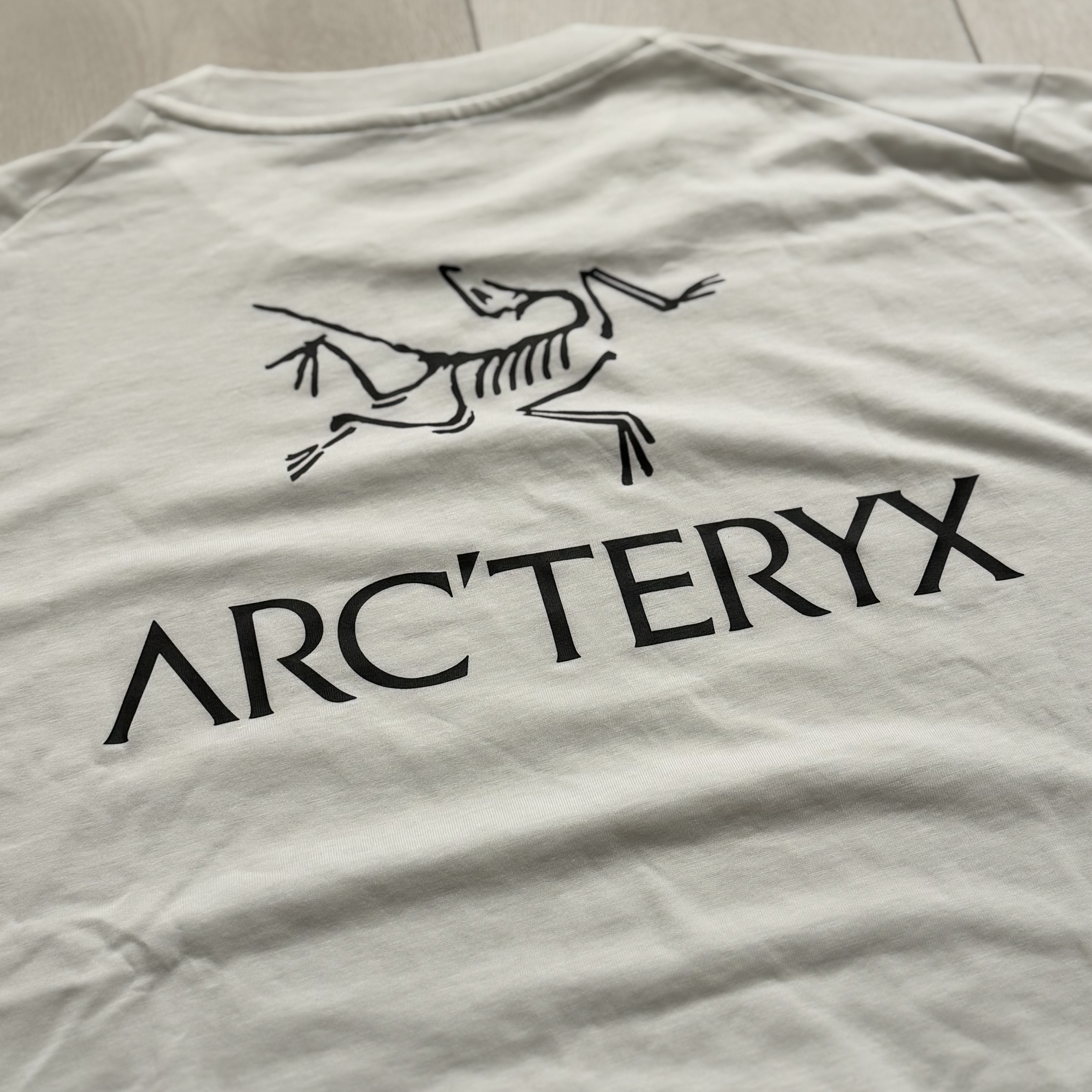 Arc'teryx Kragg SL Cotton Bird Word SS T-Shirt White Light Black 착용 스타일 - 1