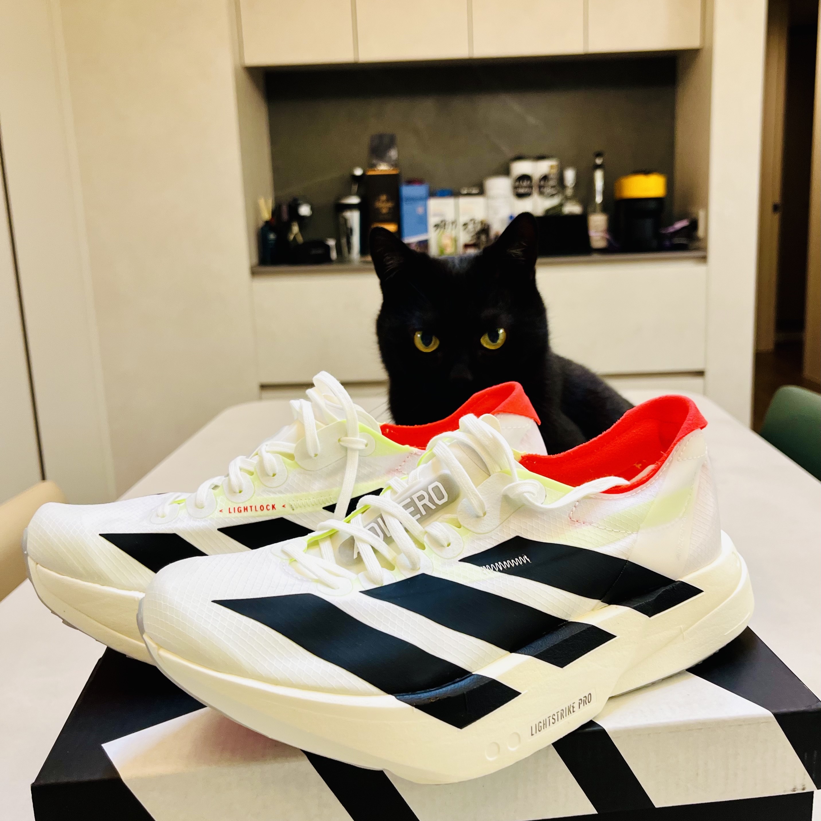 Adidas Adizero Adios Pro 4 Cloud White Core Black 착용 스타일
