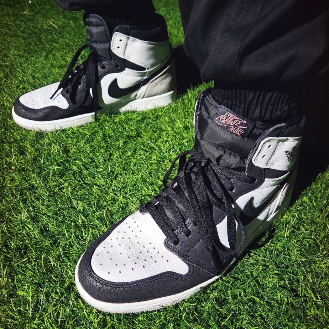Jordan 1 Retro High OG Bleached Coral 착용 스타일 - 5