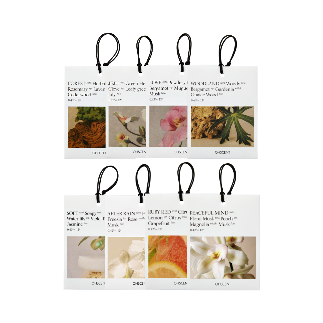 오센트 퍼퓸샤쉐(OHSCENT PERFUME SACHET)