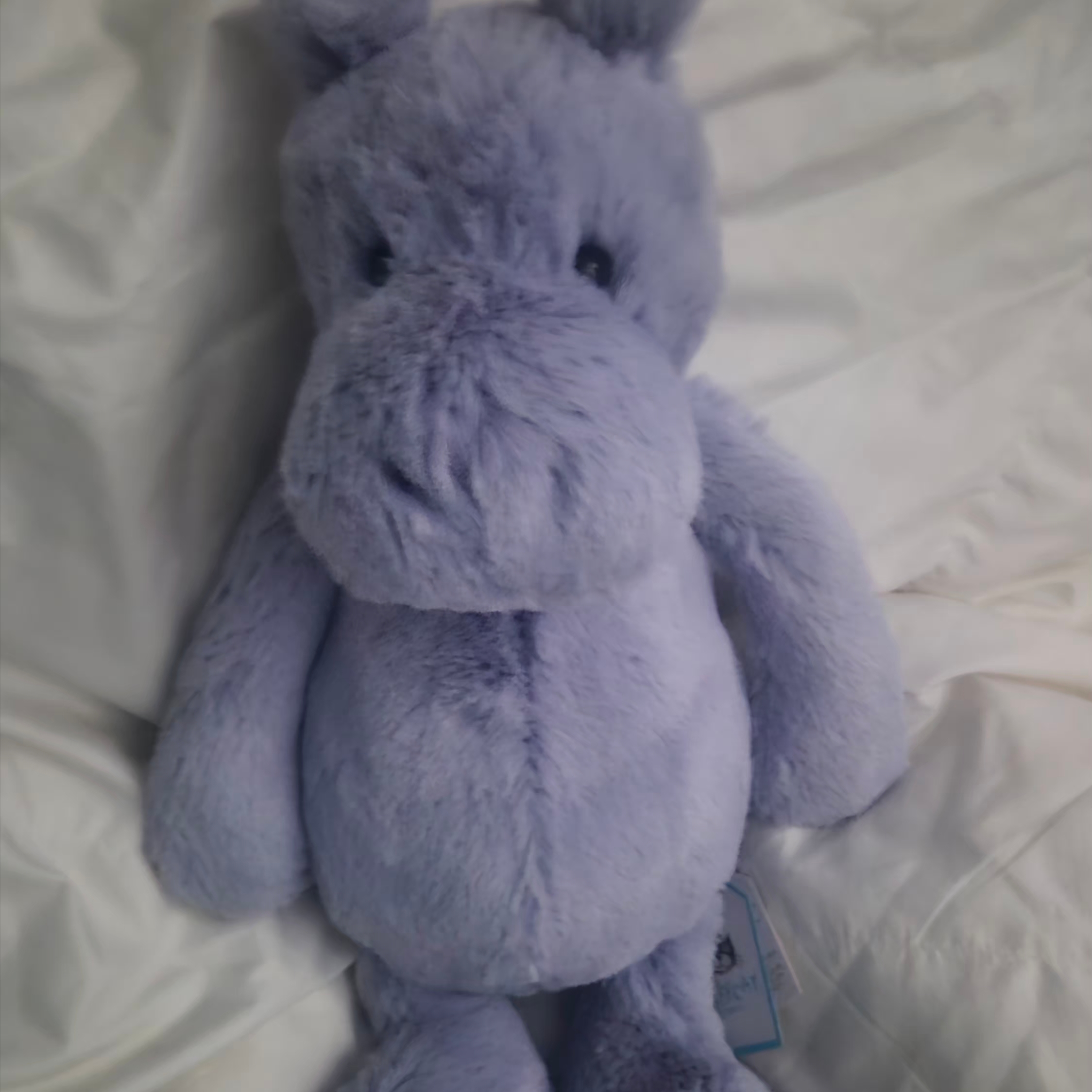 Jellycat Bashful Hippo Dusky Lilac 착용 스타일