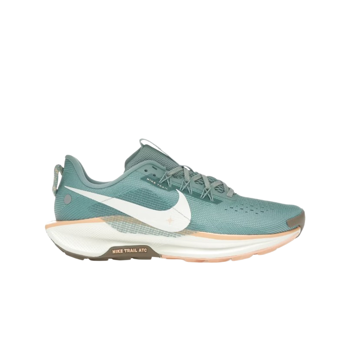 DV3865-010 (W) Nike Pegasus Trail 5 Cannon Mink Brown
