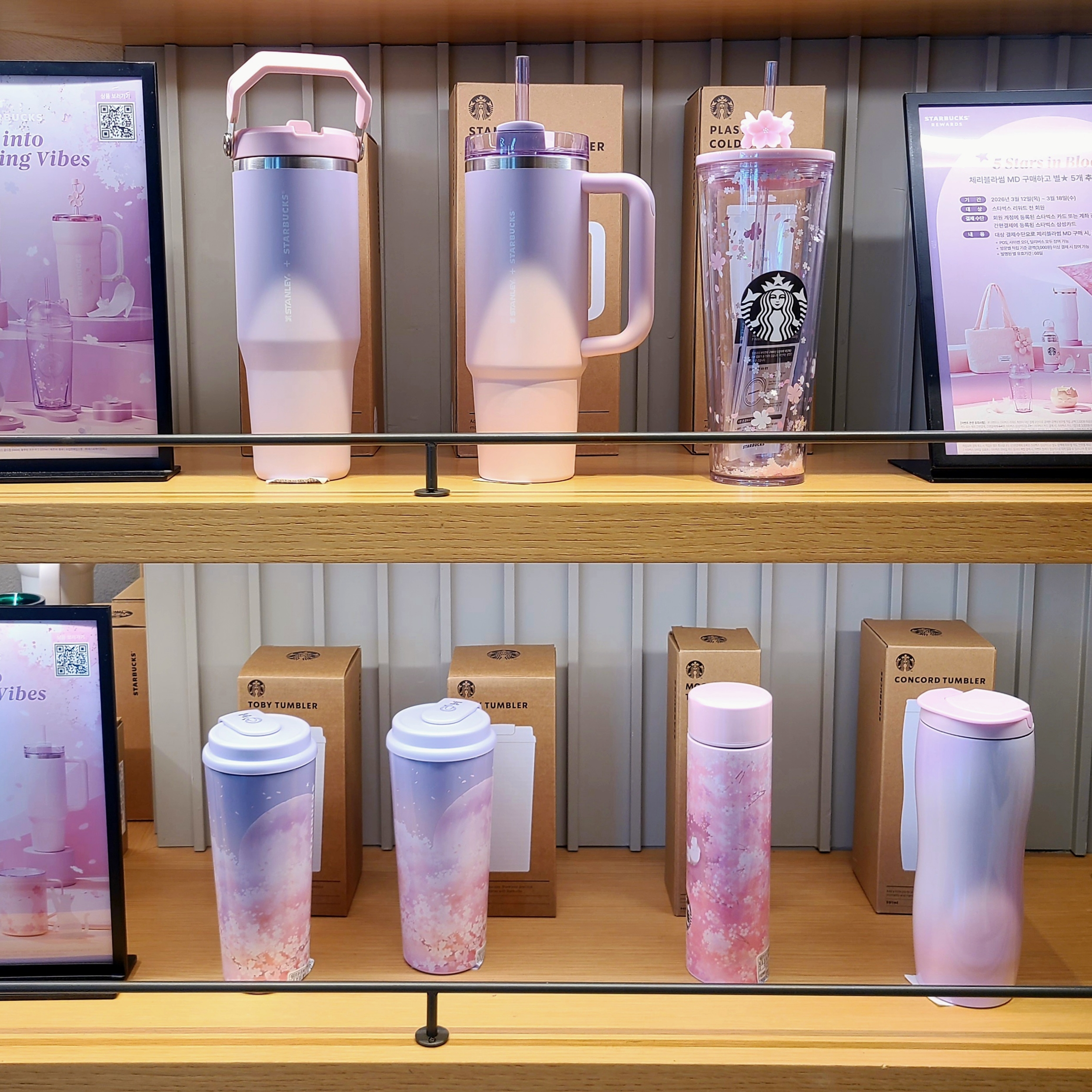 Starbucks SS Blossom Momo Tobi Tumbler 473ml, Starbucks SS Blossom Coco Moca Tumbler 444ml 착용 스타일 - 5