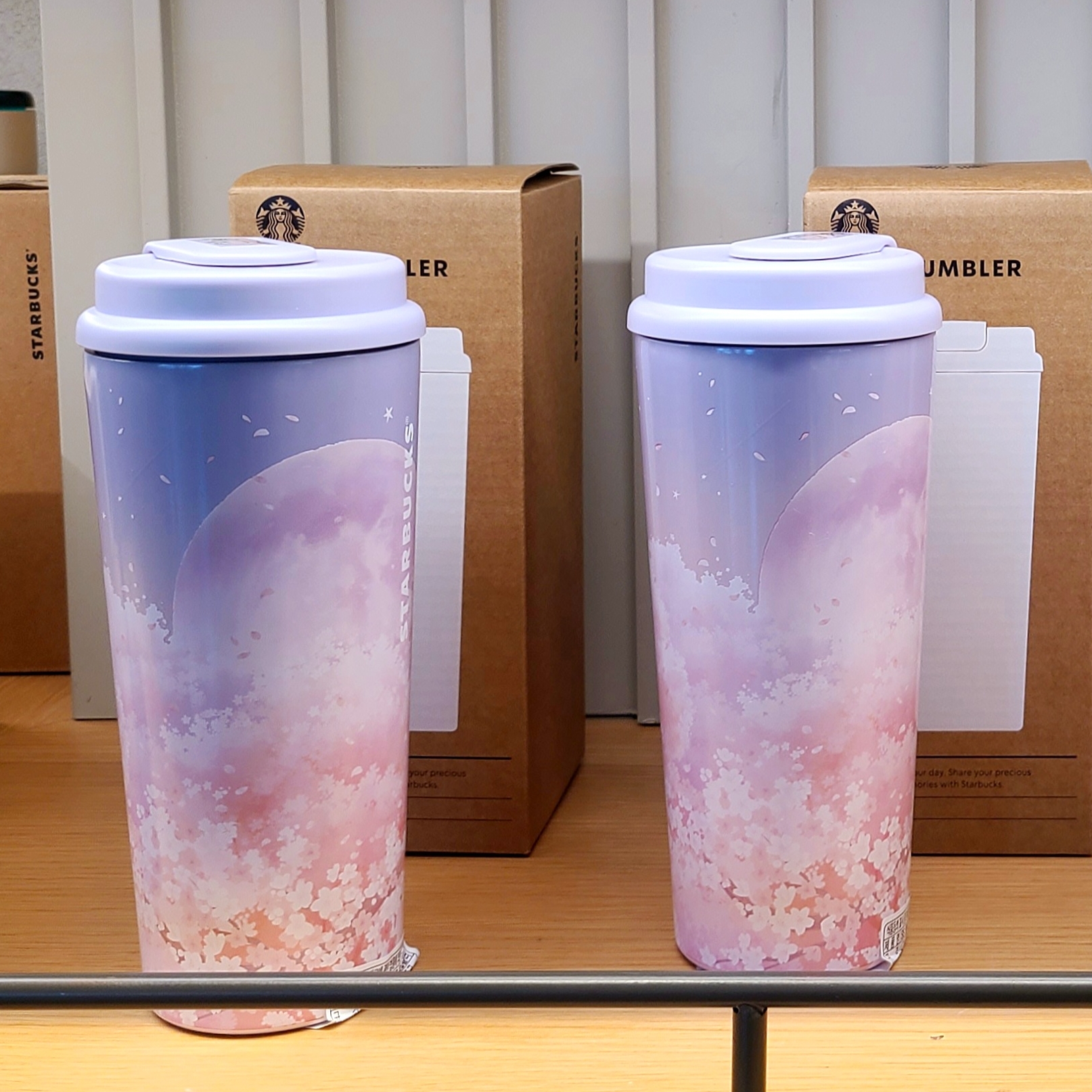 Starbucks SS Blossom Momo Tobi Tumbler 473ml, Starbucks SS Blossom Coco Moca Tumbler 444ml 착용 스타일 - 1