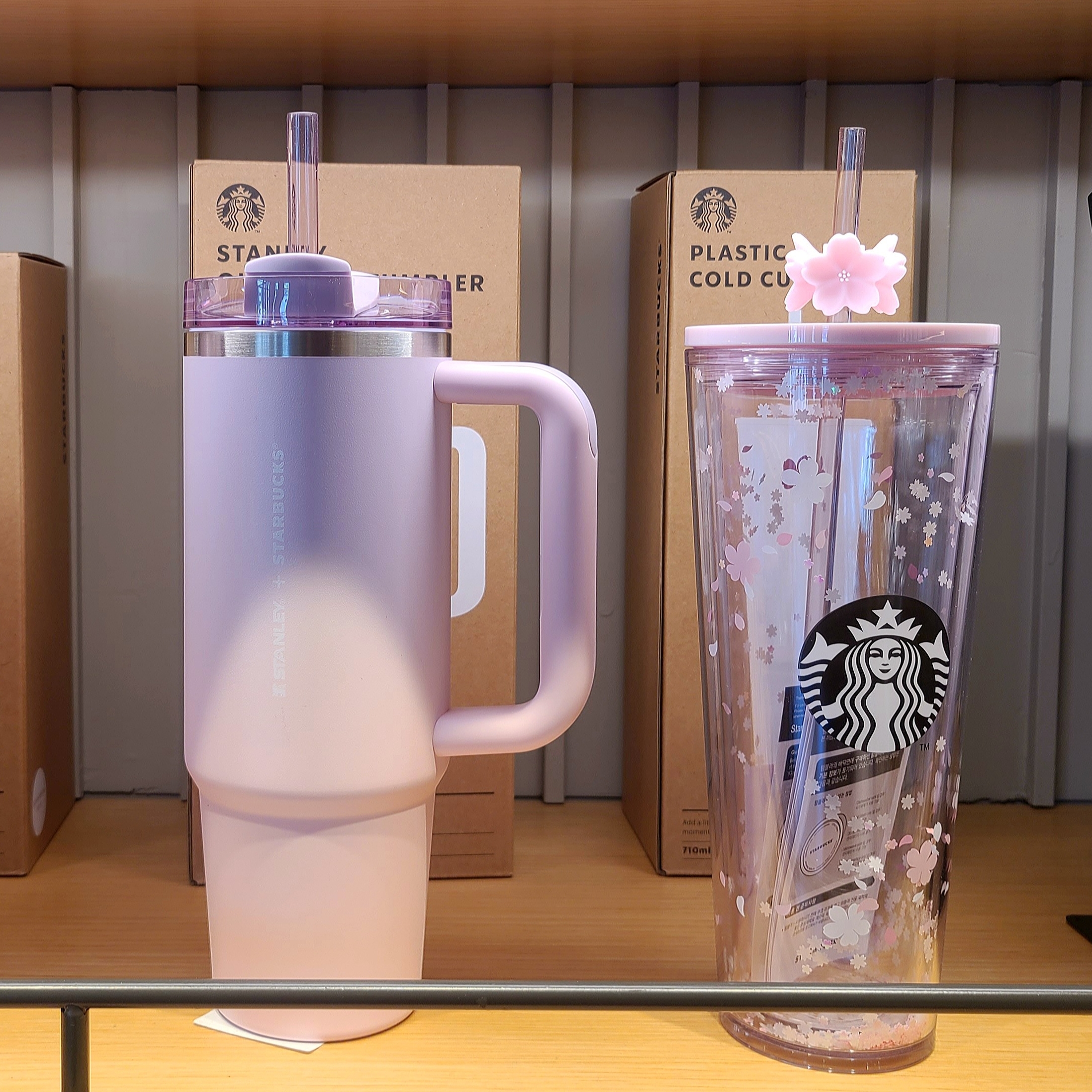 Starbucks SS Blossom Momo Tobi Tumbler 473ml, Starbucks SS Blossom Coco Moca Tumbler 444ml 착용 스타일 - 4