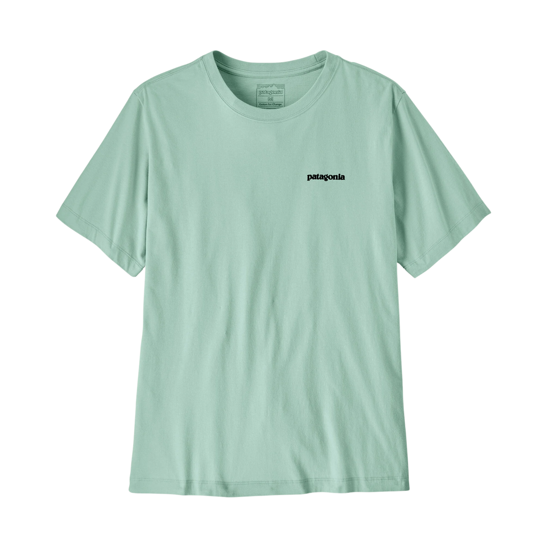 파타고니아 피츠 로이 트라우트 티셔츠 씬 아이스(Patagonia Fitz Roy Trout T-Shirt Thin Ice) - 1
