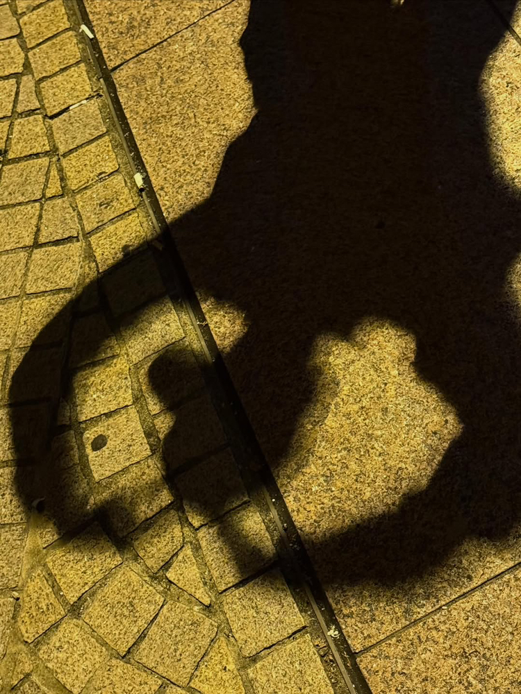 관심 유저 프로필 이미지