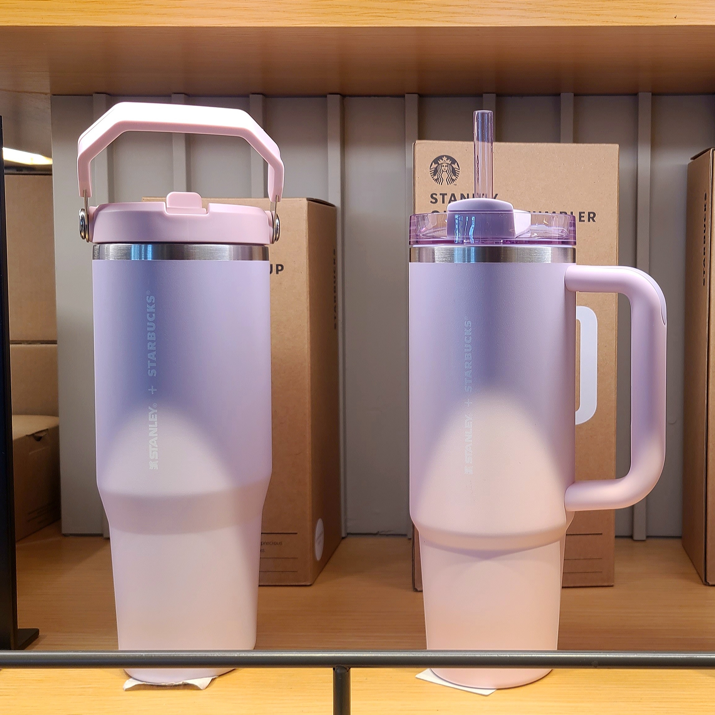 Starbucks SS Blossom Momo Tobi Tumbler 473ml, Starbucks SS Blossom Coco Moca Tumbler 444ml 착용 스타일 - 3