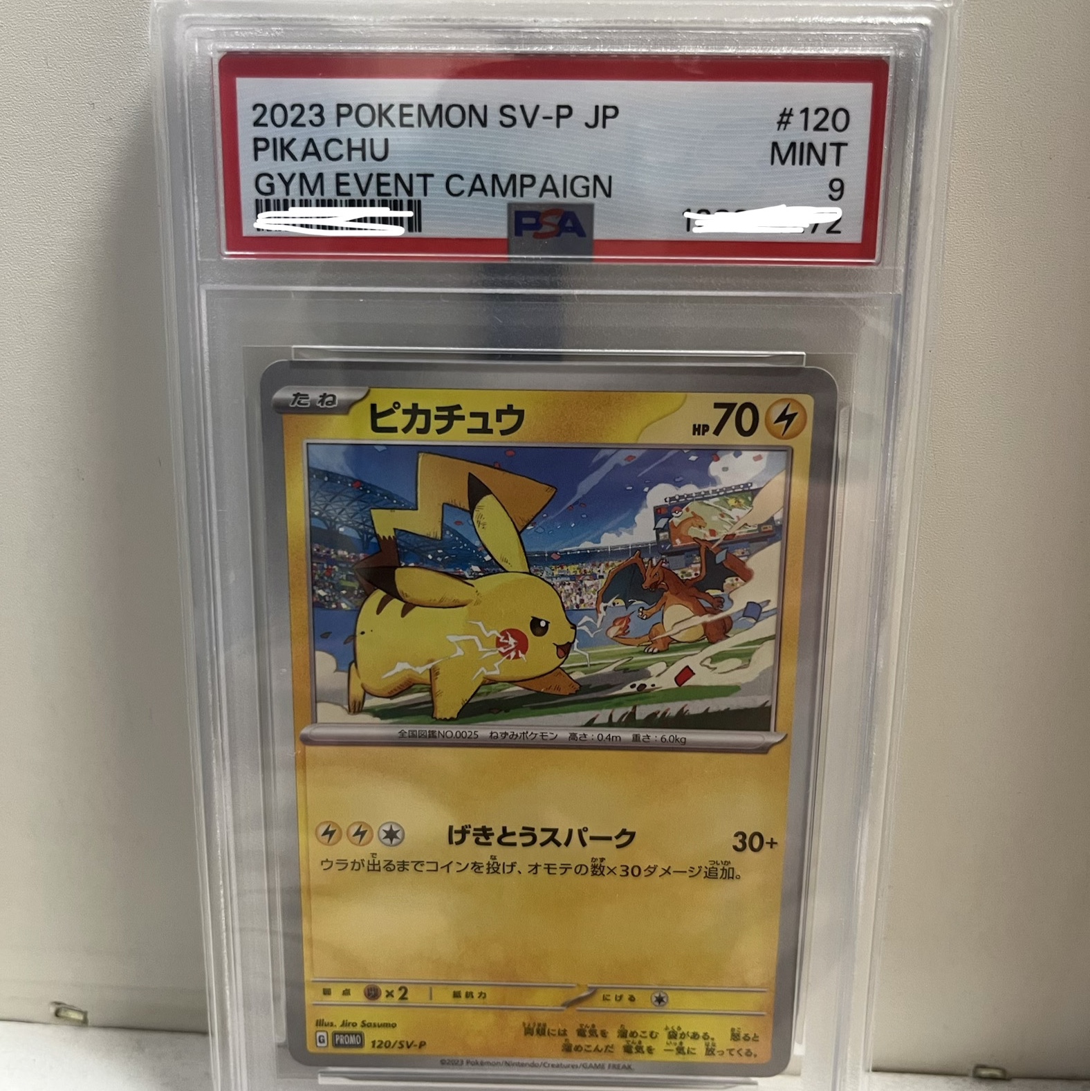 Pokemon TCG Pikachu P Scarlet & Violet Promos (Japanese Ver.) 착용 스타일