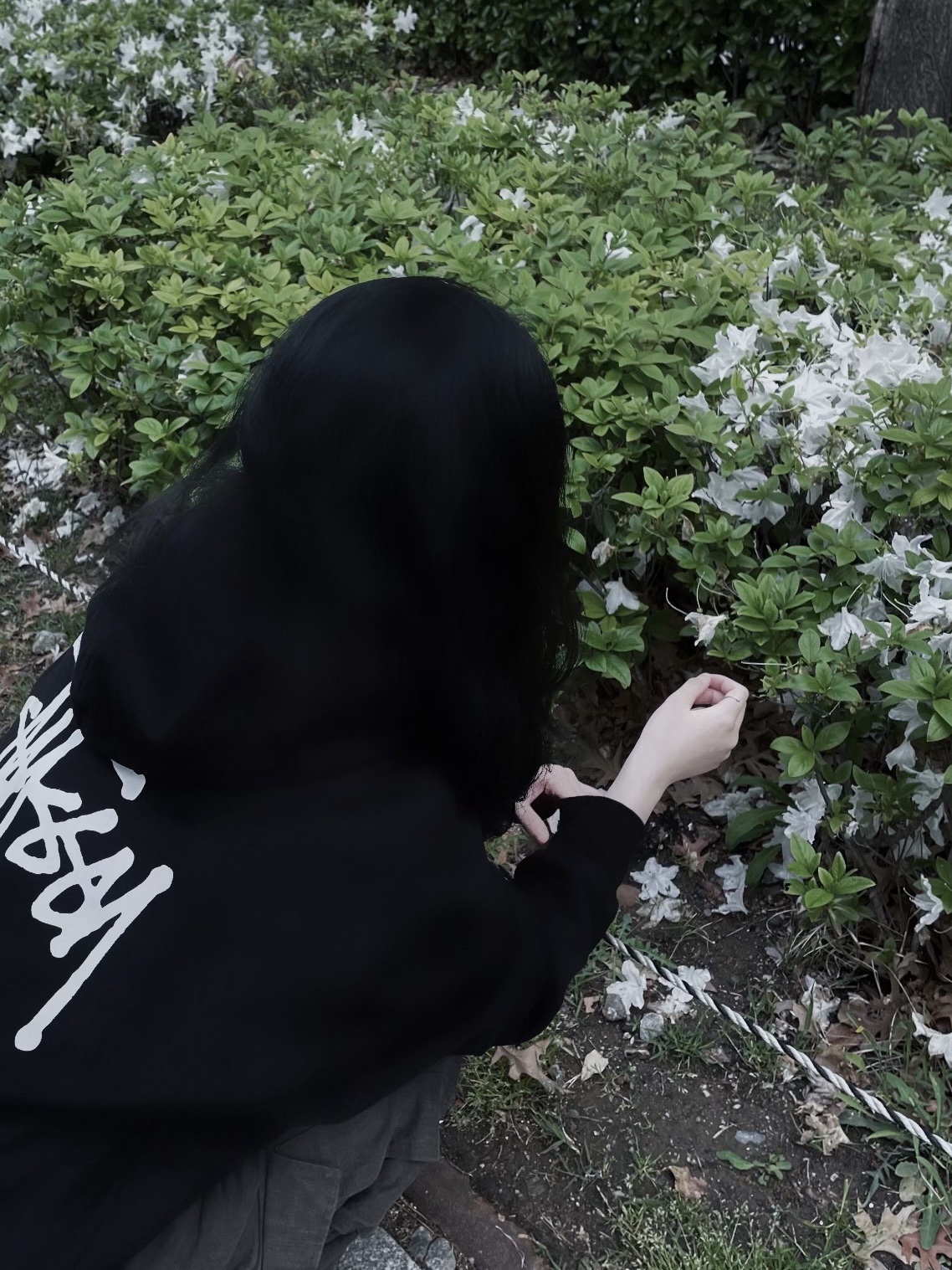 Stussy Basic Stussy Hoodie Black 착용 스타일