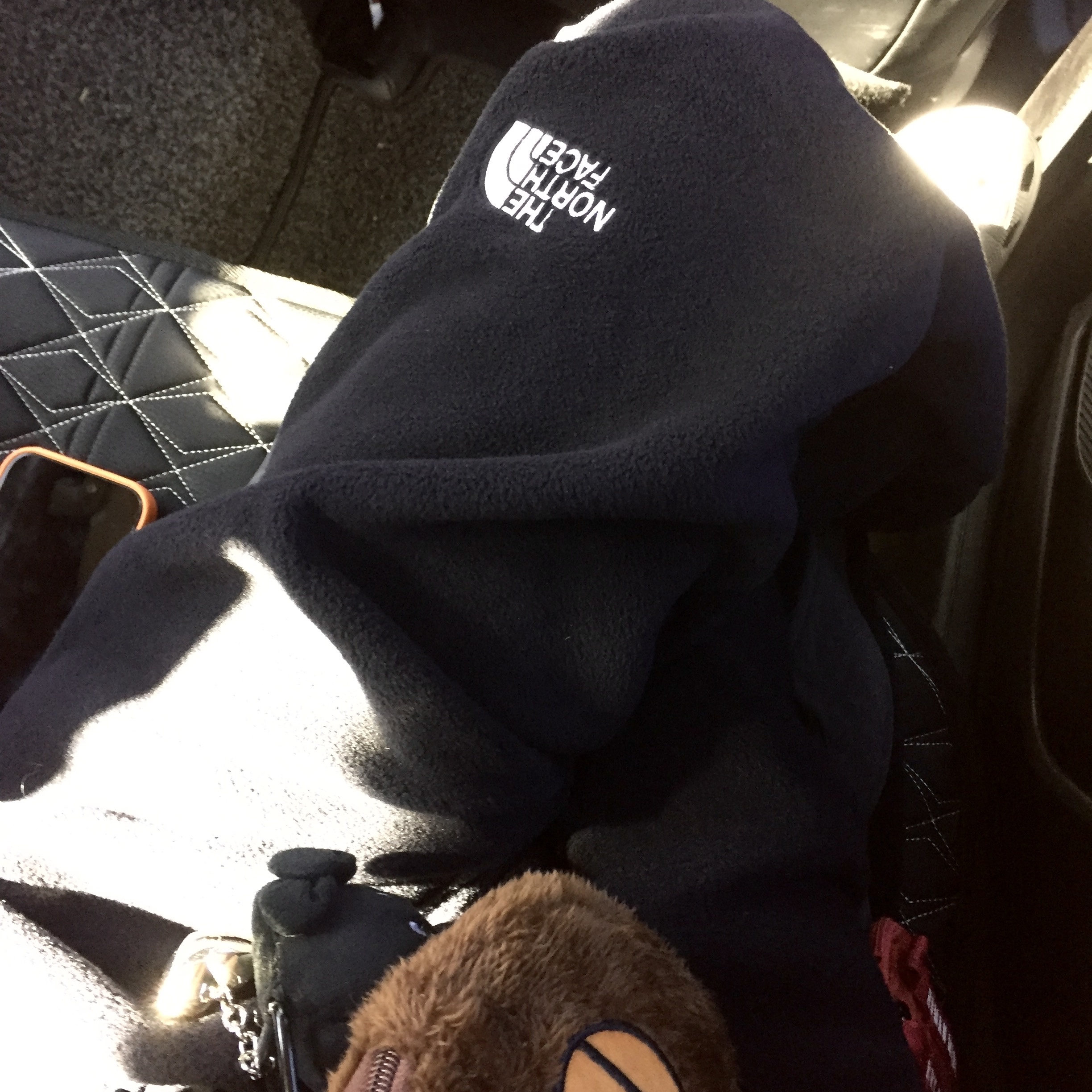 The North Face Banff Fleece Pants Black 착용 스타일 - 3