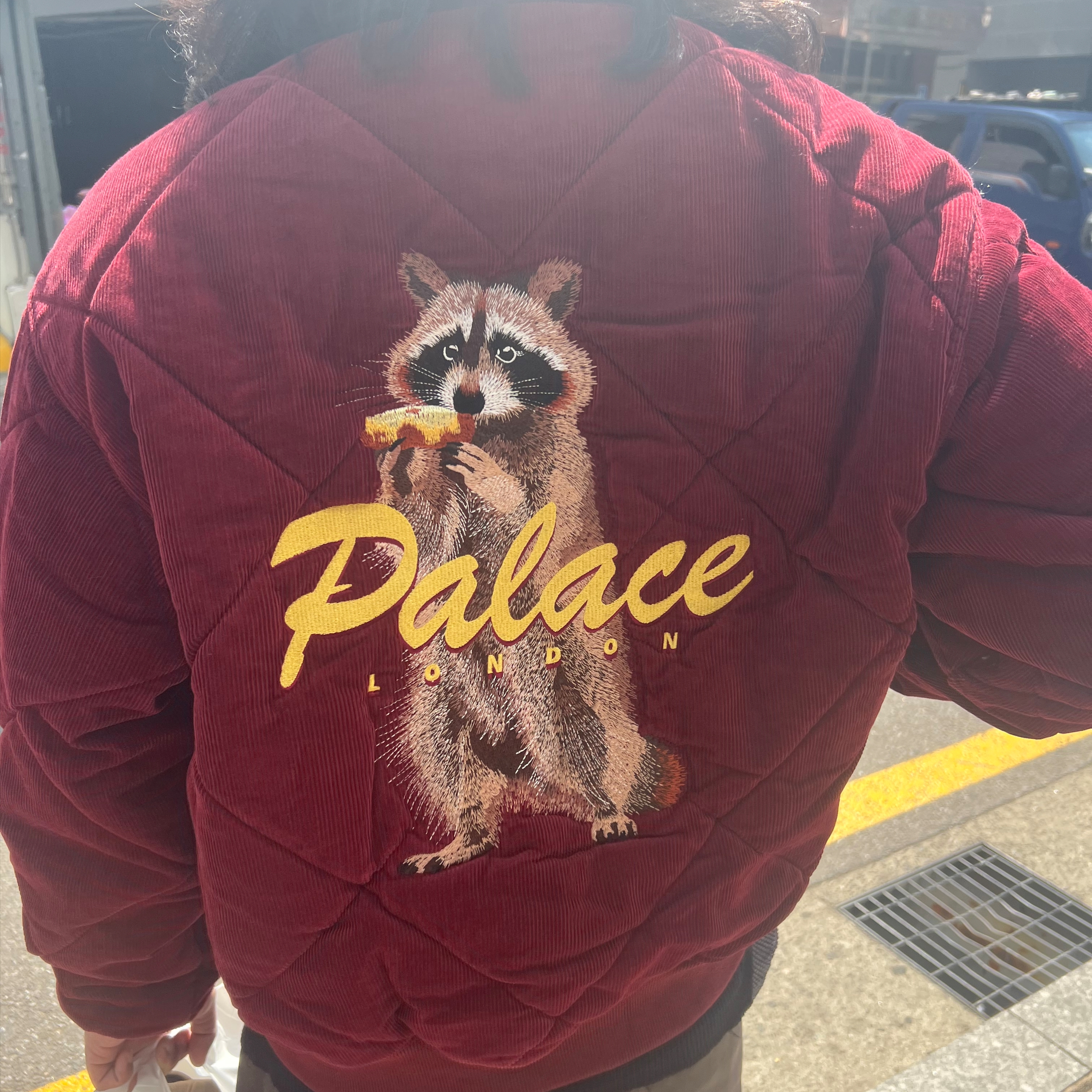Palace Hungry Raccoon STYLE | KREAM