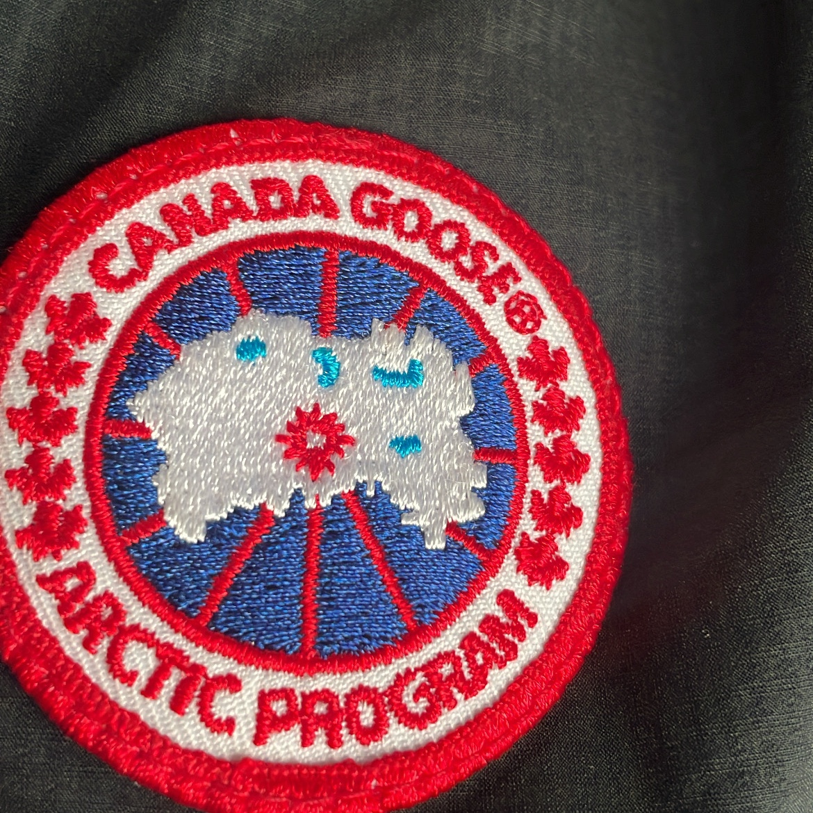 Canada Goose Lodge Down Hoody Matte Finish Black 착용 스타일 - 2