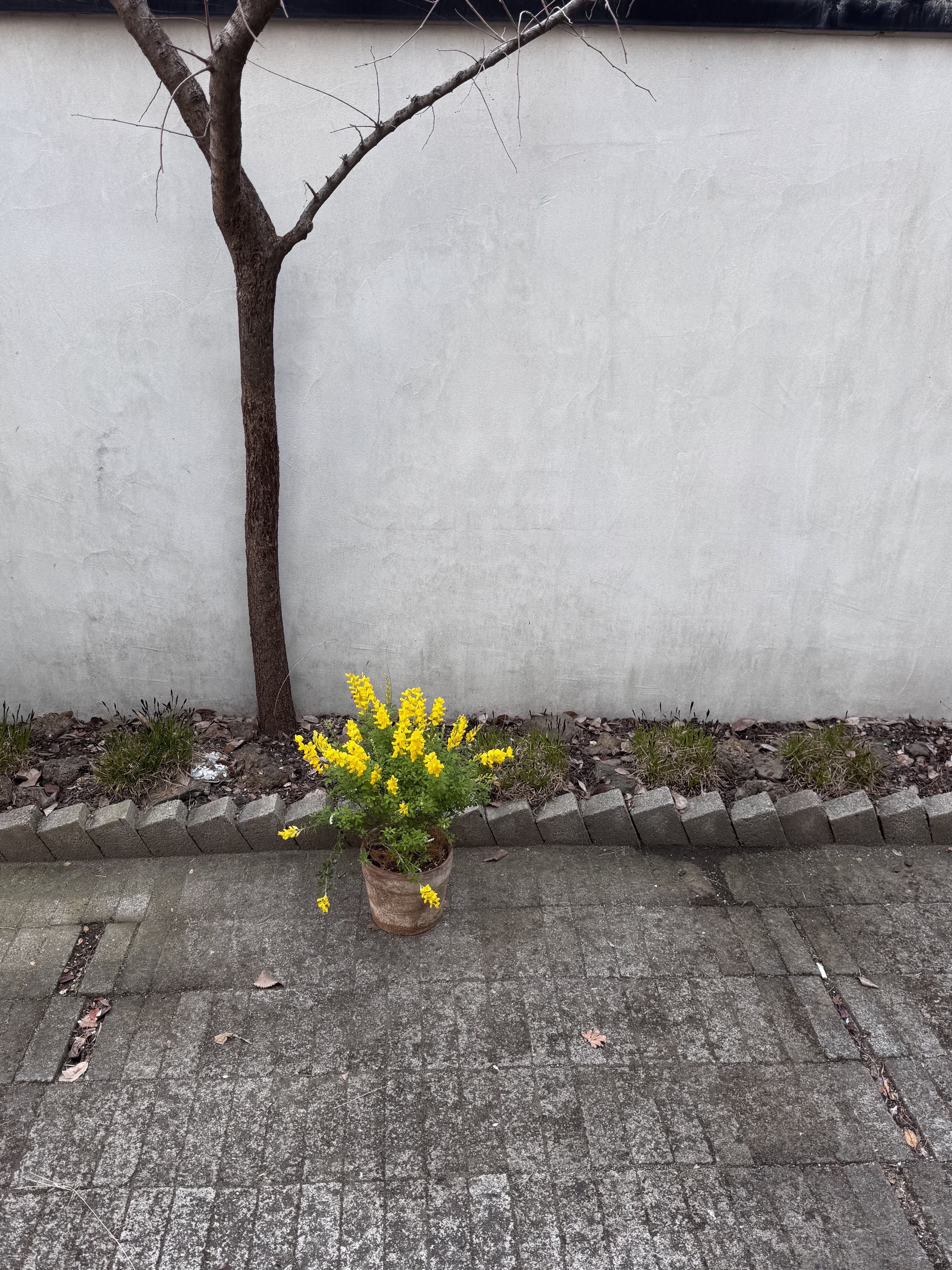 Klattermusen Tjalve 2.0 10L Backpack Olive, Hysteric Glamour Flame Logo Carabiner Keychain Black 착용 스타일 - 5