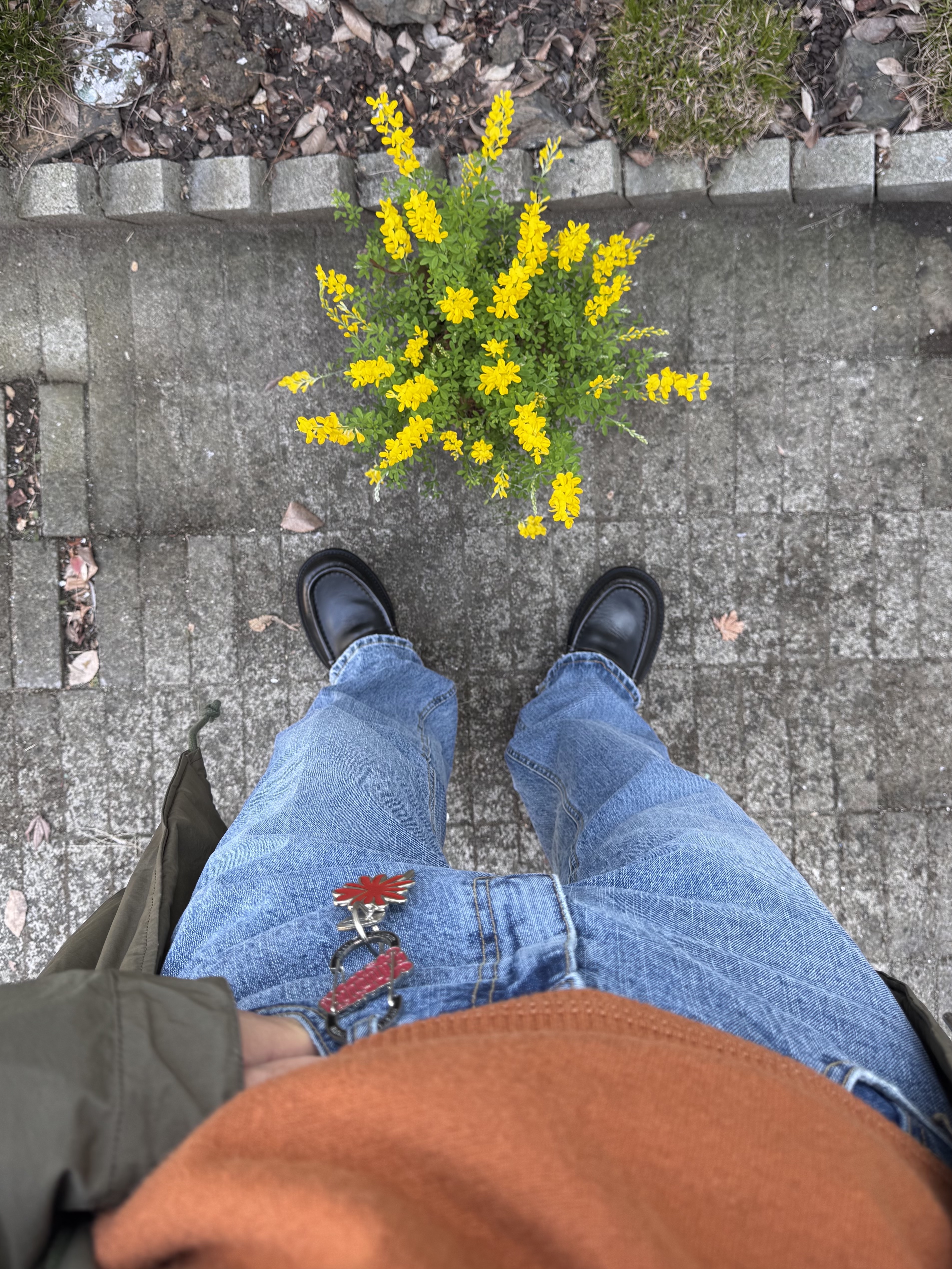 Klattermusen Tjalve 2.0 10L Backpack Olive, Hysteric Glamour Flame Logo Carabiner Keychain Black 착용 스타일 - 4