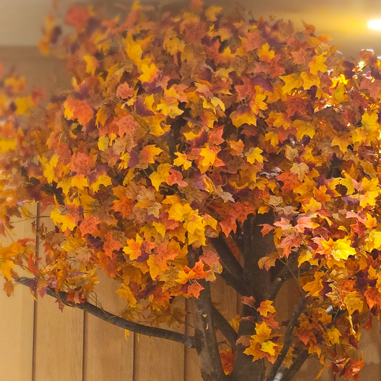 Pop Mart Twinkle Twinkle Crush On You Series Plush Pendent Skip A Beat (Opened Case), Chanel Codes Couleur Limited Edition Miroir Double Facettes 131 Cavalier Seul 착용 스타일 - 8