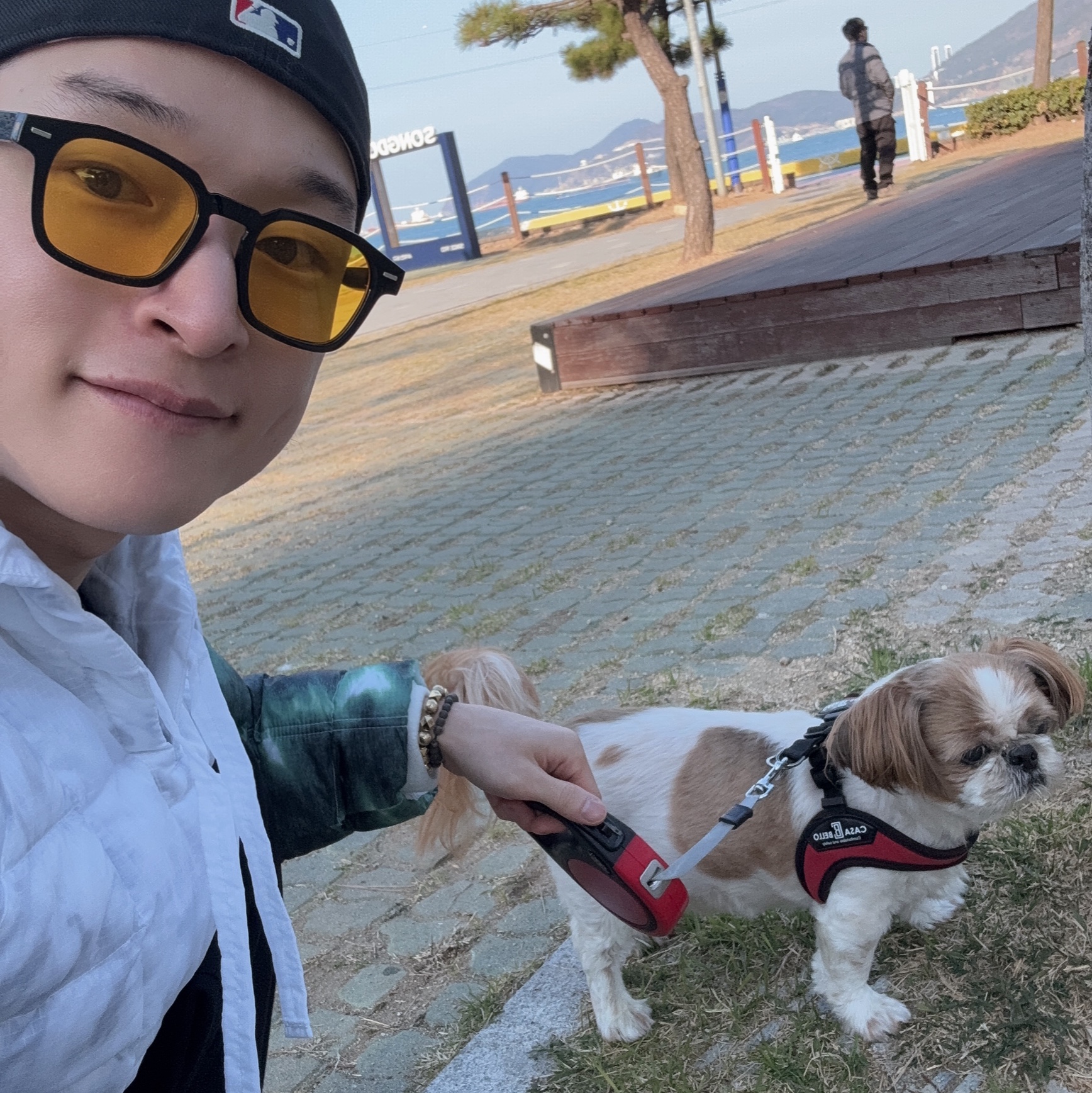 Nike x Stussy Insultd Jacket White Gorge Green - Asia, Nike Shox Ride 2 Light Bone and Turf Orange 착용 스타일