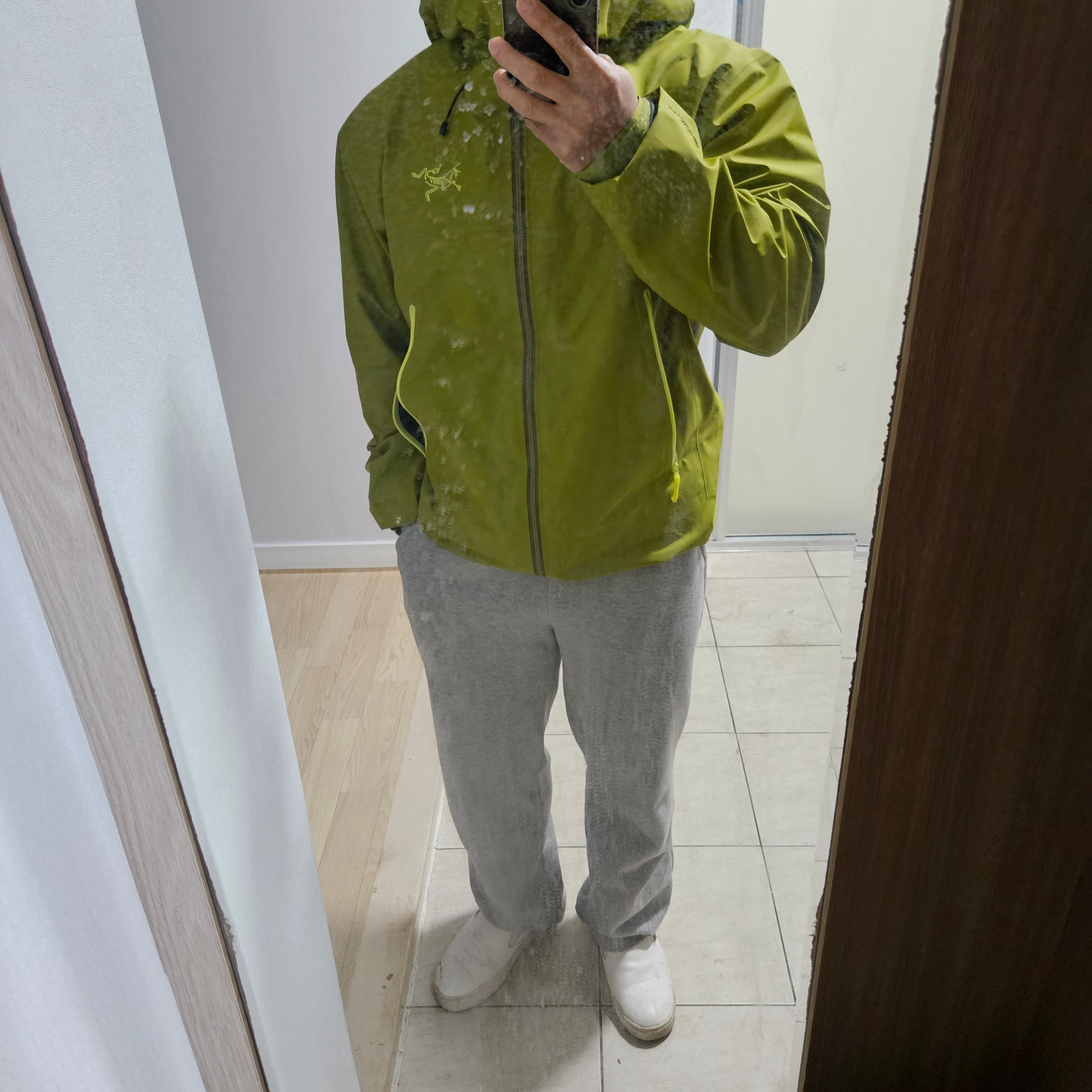 Arc'teryx Beta SL Jacket Olive Moss Euphoria 착용 스타일