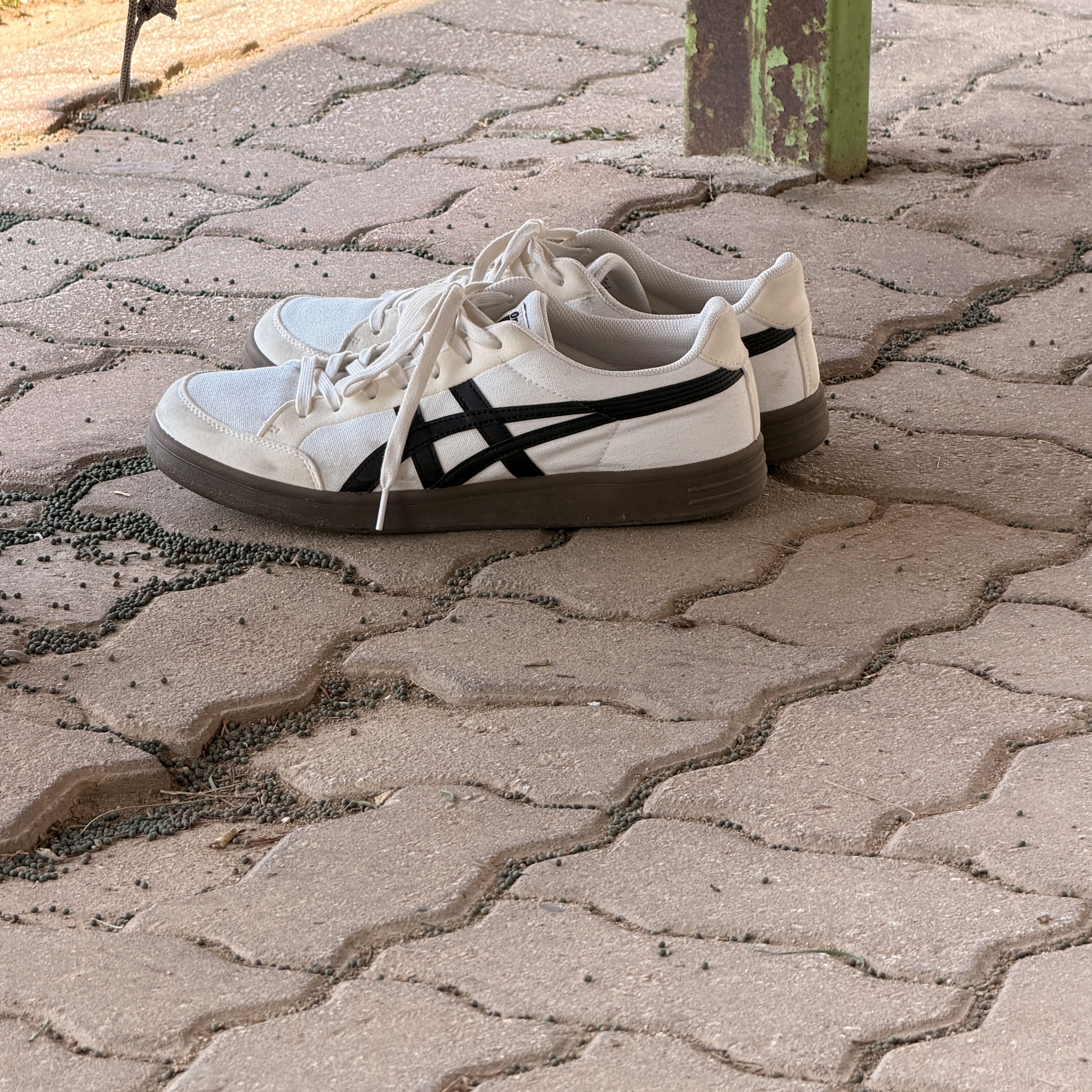 Onitsuka Tiger Advanti Cream White Black 착용 스타일
