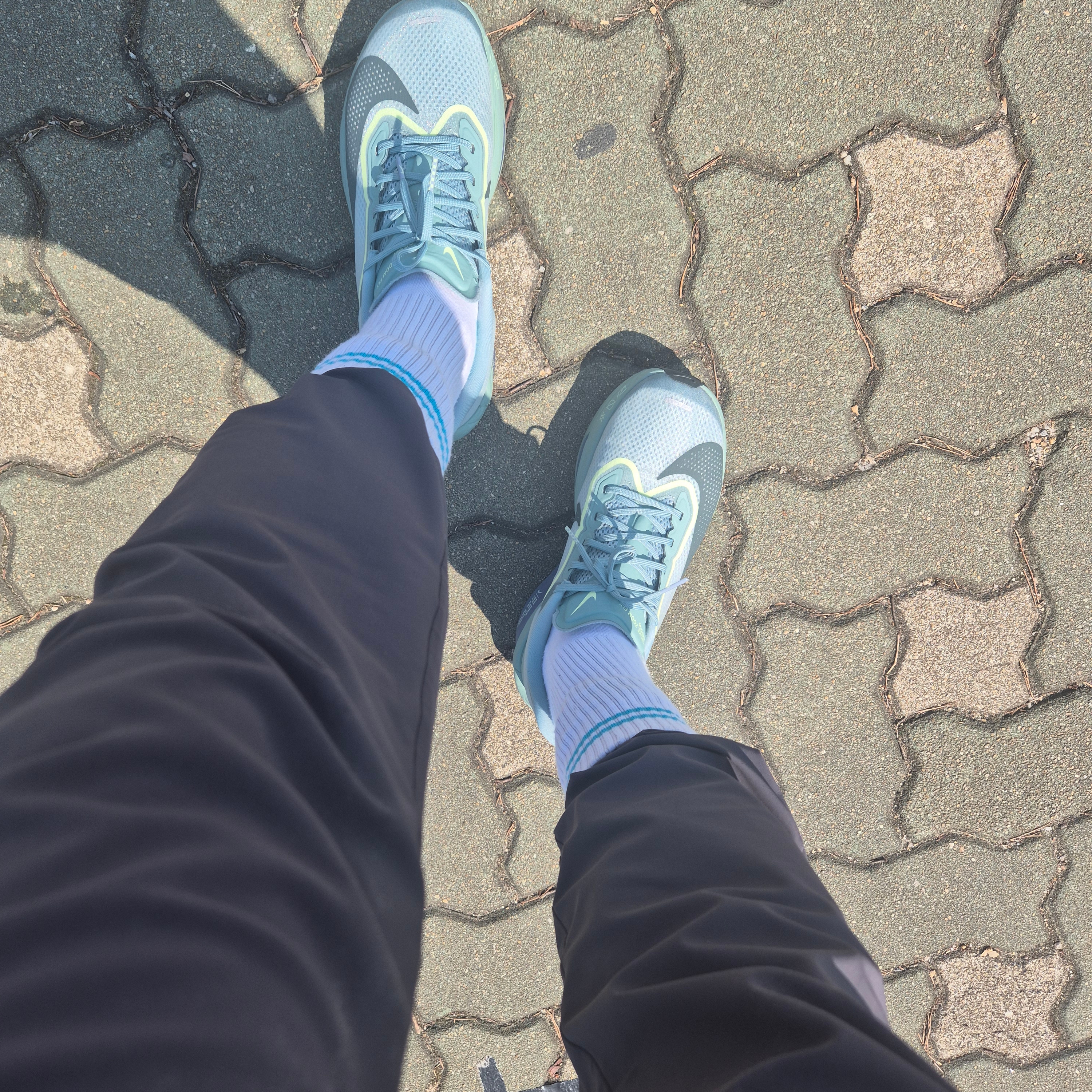 Nike Zoom Fly 6 Cannon Light Silver 착용 스타일 - 2