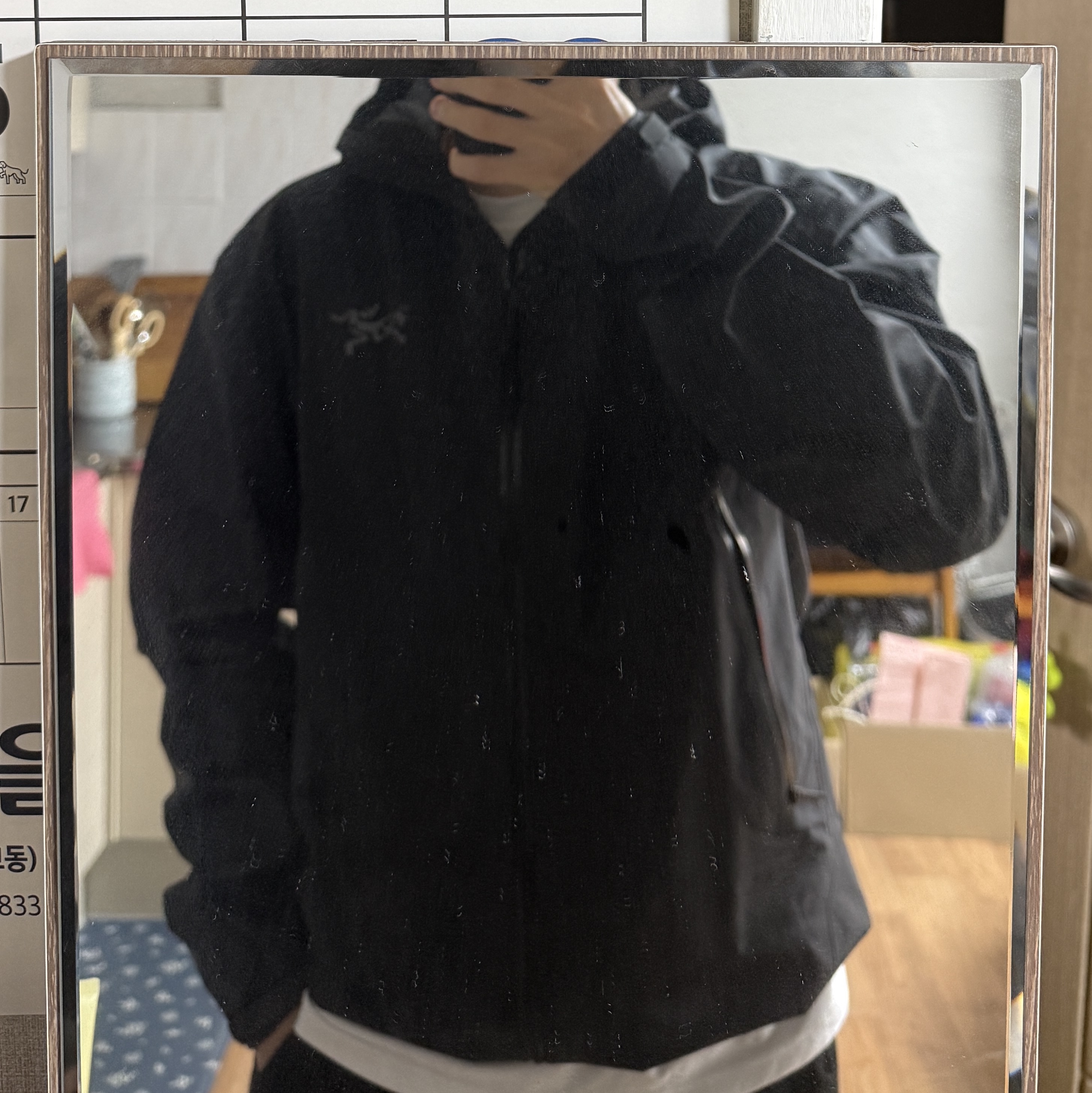 Arc'teryx Beta Jacket Black 착용 스타일