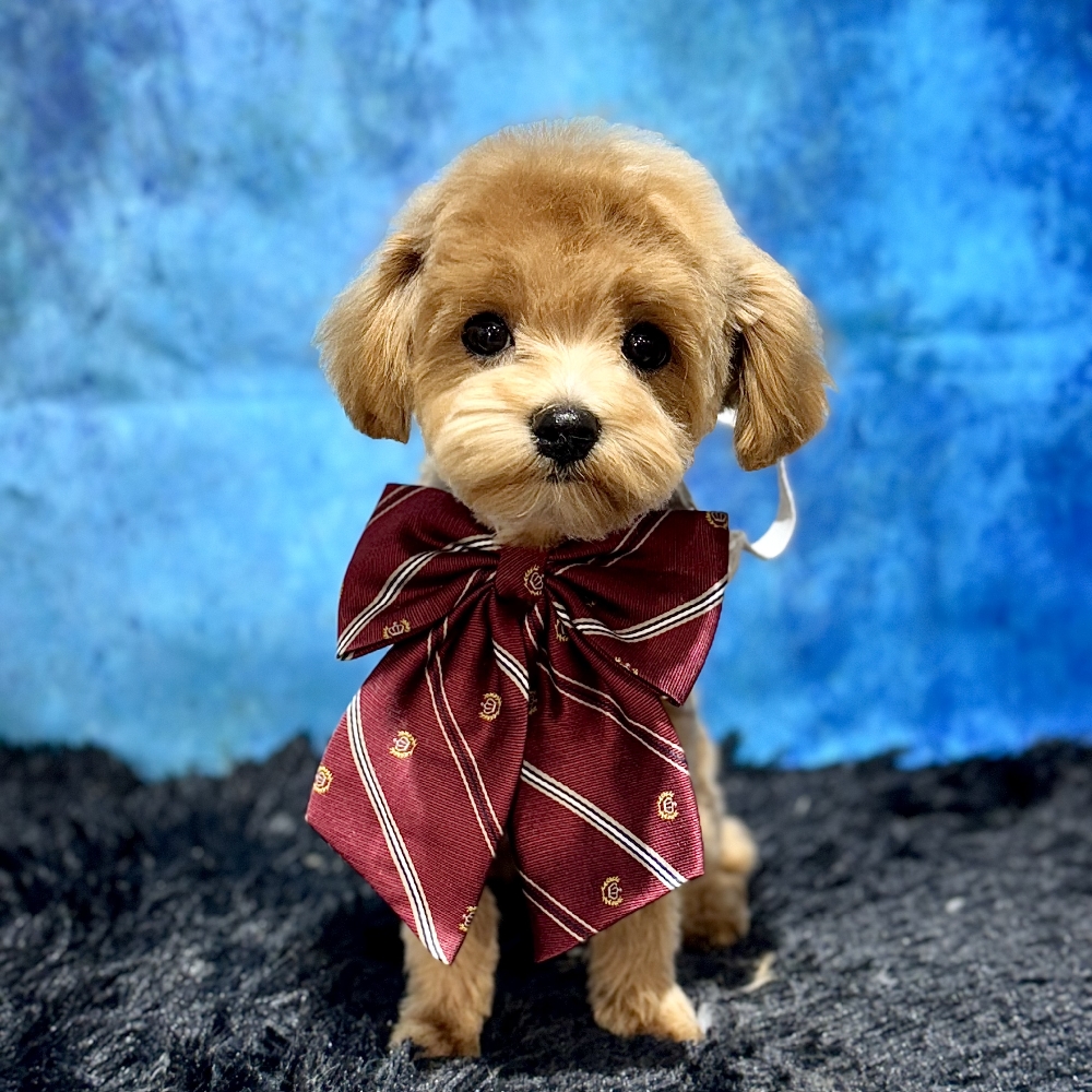 관심 유저 프로필 이미지