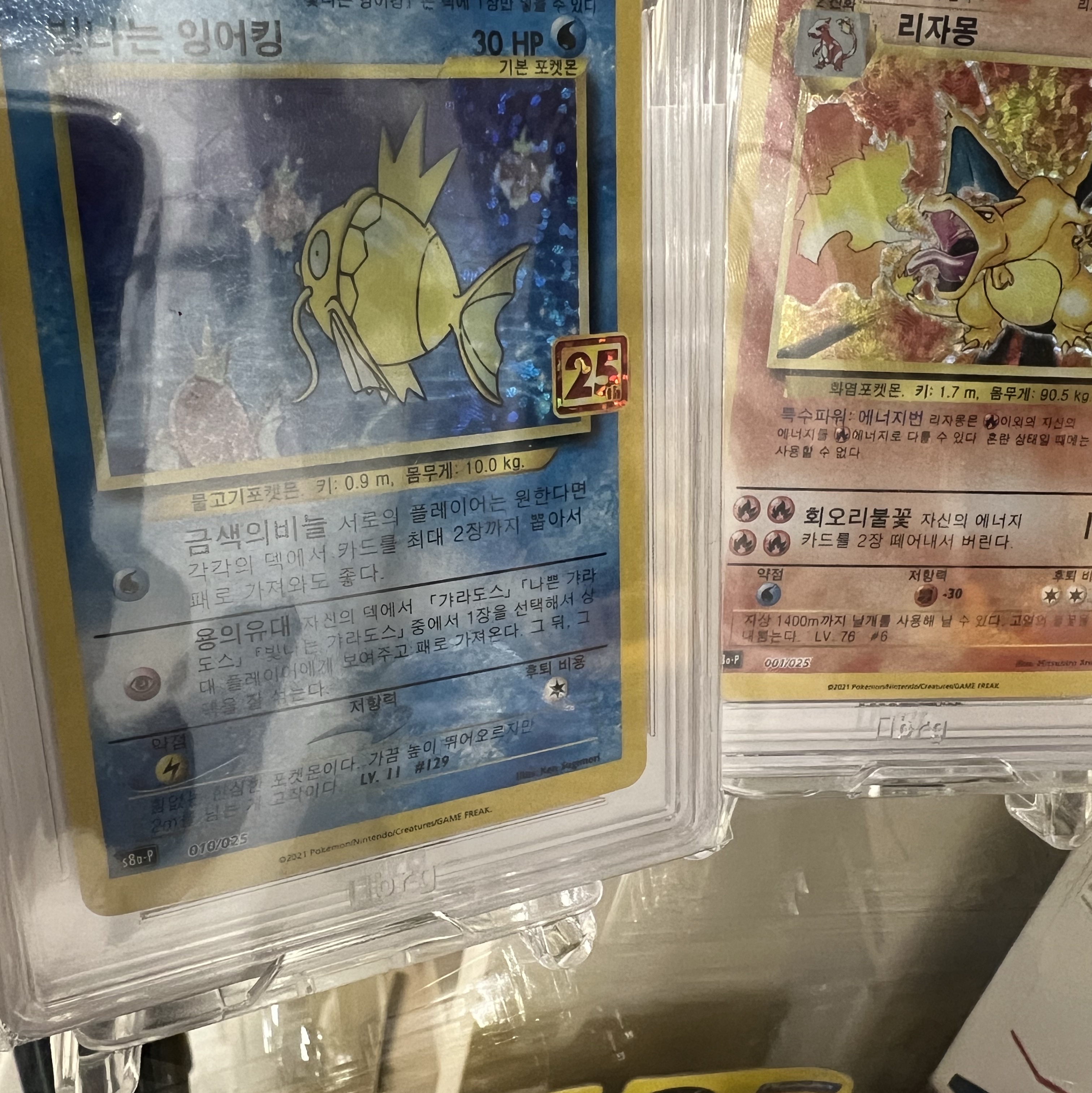Pokemon TCG Shining Magikarp 25th Anniversary Collection (Korean Ver.) 착용 스타일