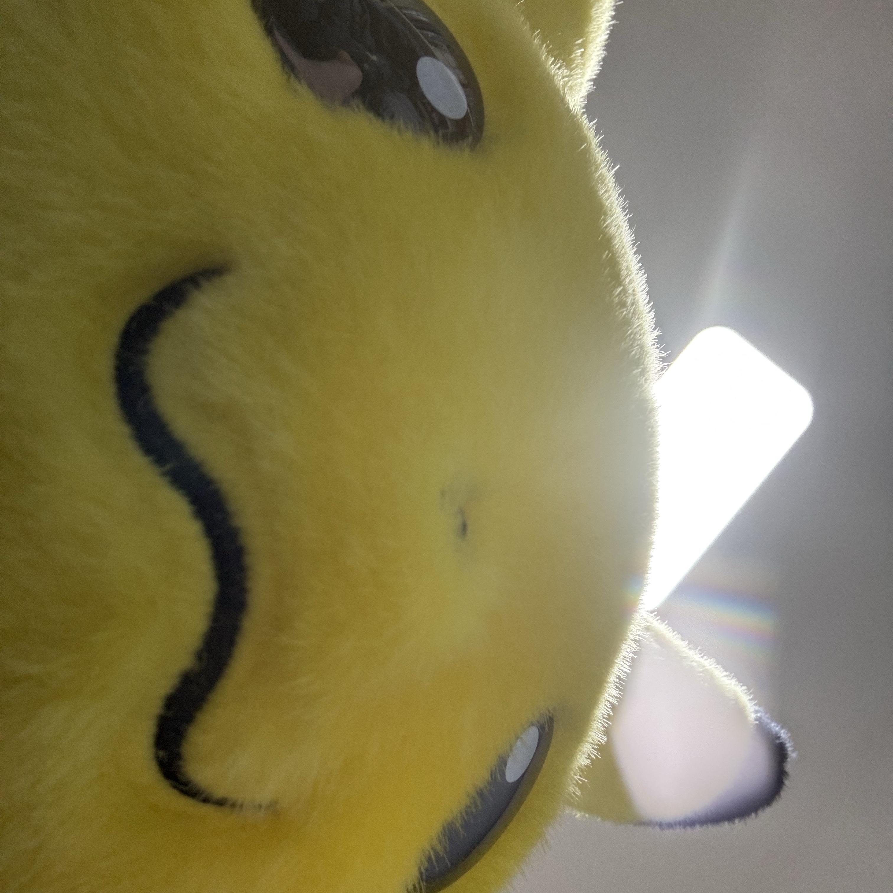 Pokemon Monster Collection 30th Anniversary Pikachu Okaeri! Plush 착용 스타일