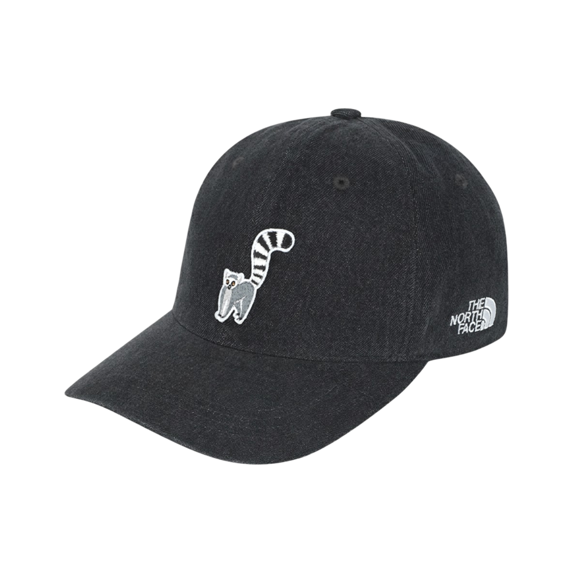 NE3CS06J The North Face White Label Logo Ball Cap WP Jet Black