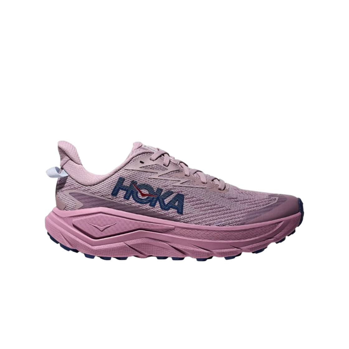 1171959-FMV (W) Hoka Challenger 8 GTX Fragrant Lilac Berry Mauve - Regular