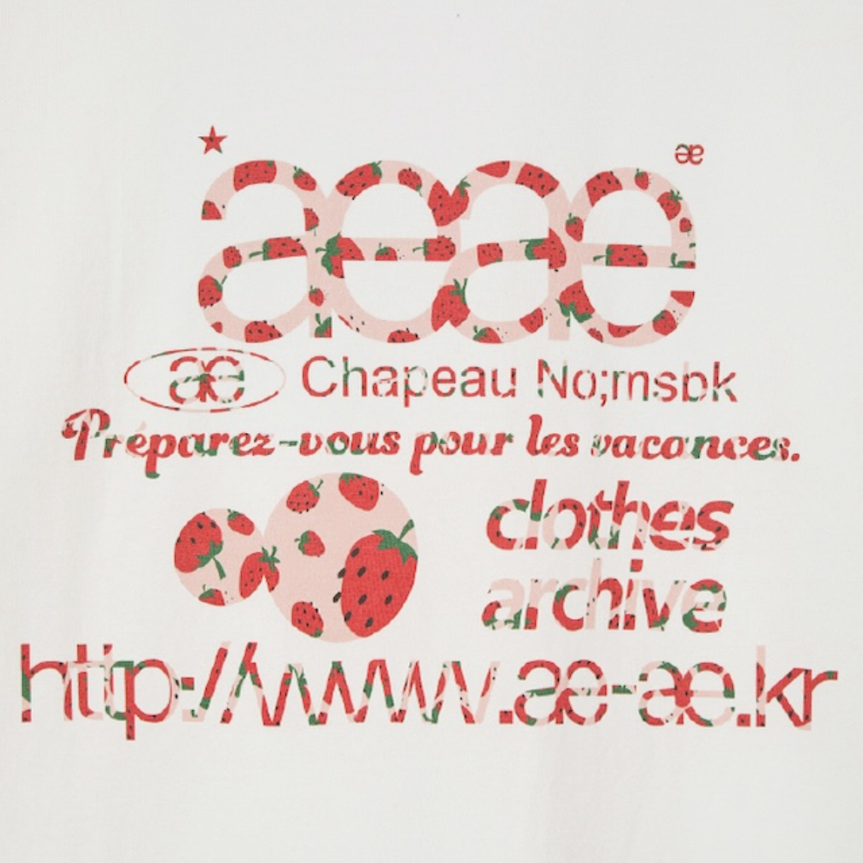 [오프라인 전용] 에이이에이이 우먼 웹 로고 티셔츠 스트로베리 - 26SS([오프라인 전용] AEAE Women Web Logo T-Shirts Strawberry - 26SS) - 5