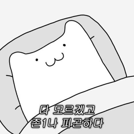 관심 유저 프로필 이미지