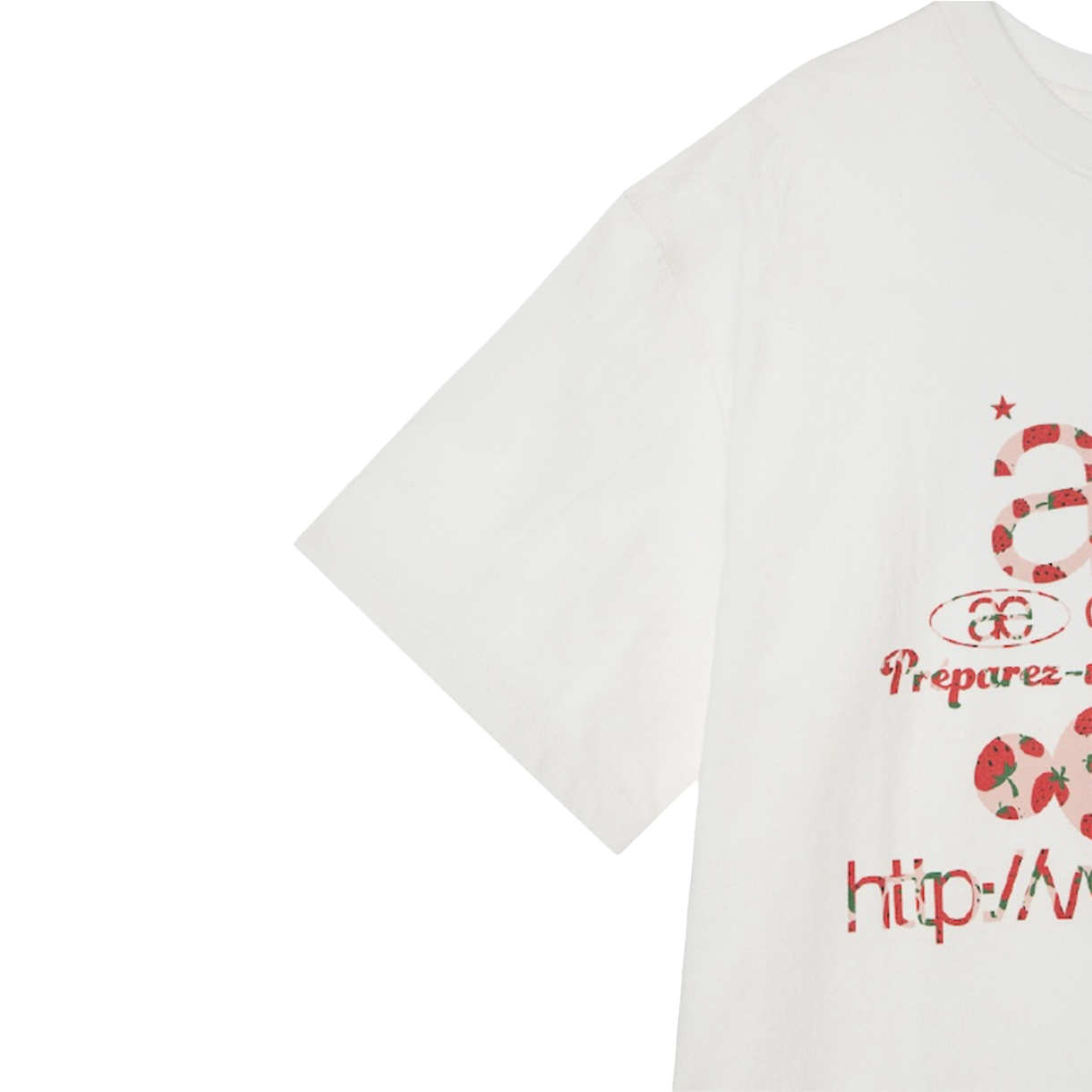 [오프라인 전용] 에이이에이이 우먼 웹 로고 티셔츠 스트로베리 - 26SS([오프라인 전용] AEAE Women Web Logo T-Shirts Strawberry - 26SS) - 4