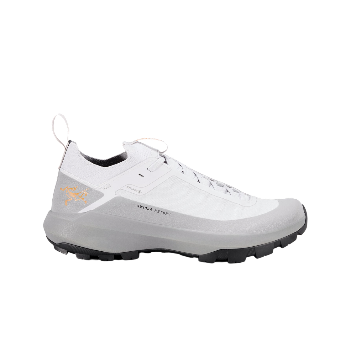 아크테릭스 버텍스 알파인 GTX 솔리튜드 보이드(Arc'teryx Vertex Alpine GTX Solitude Void)