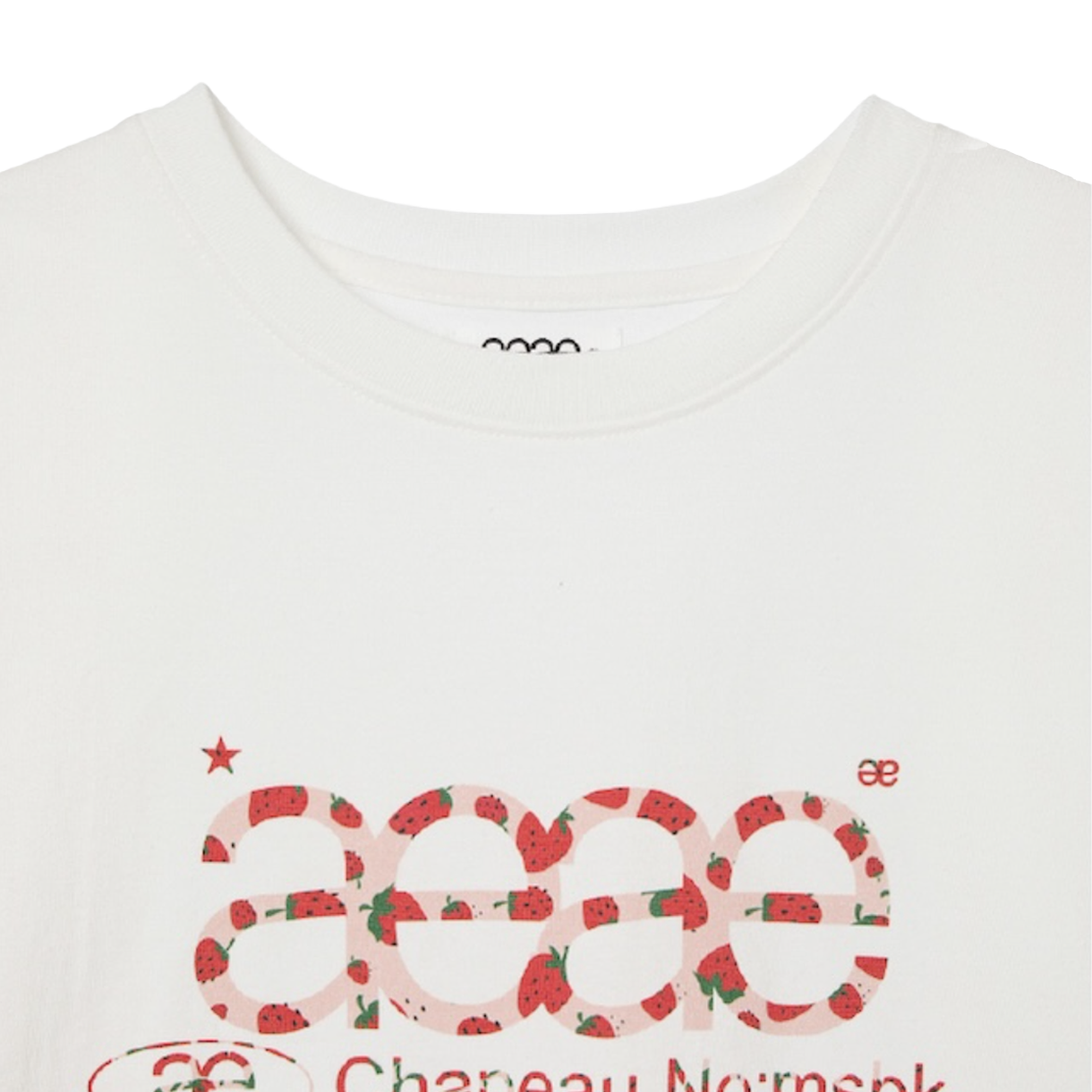 [오프라인 전용] 에이이에이이 우먼 웹 로고 티셔츠 스트로베리 - 26SS([오프라인 전용] AEAE Women Web Logo T-Shirts Strawberry - 26SS) - 3
