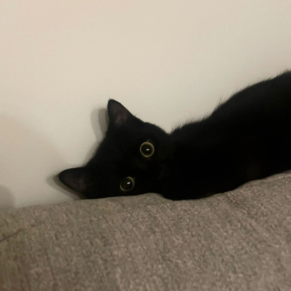 관심 유저 프로필 이미지