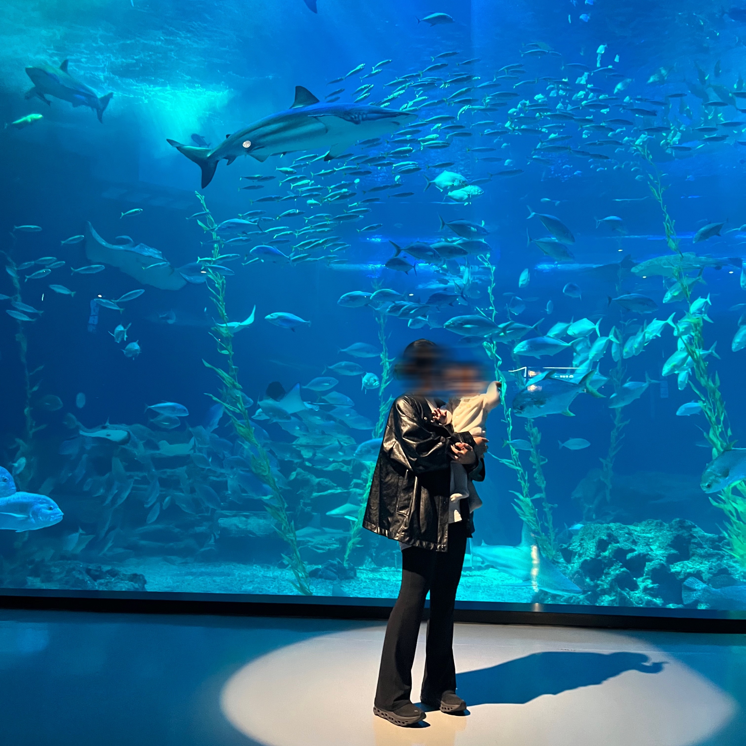 On Running Cloudmonster All Black, (W) On Running Cloudmonster Black Magnet 착용 스타일