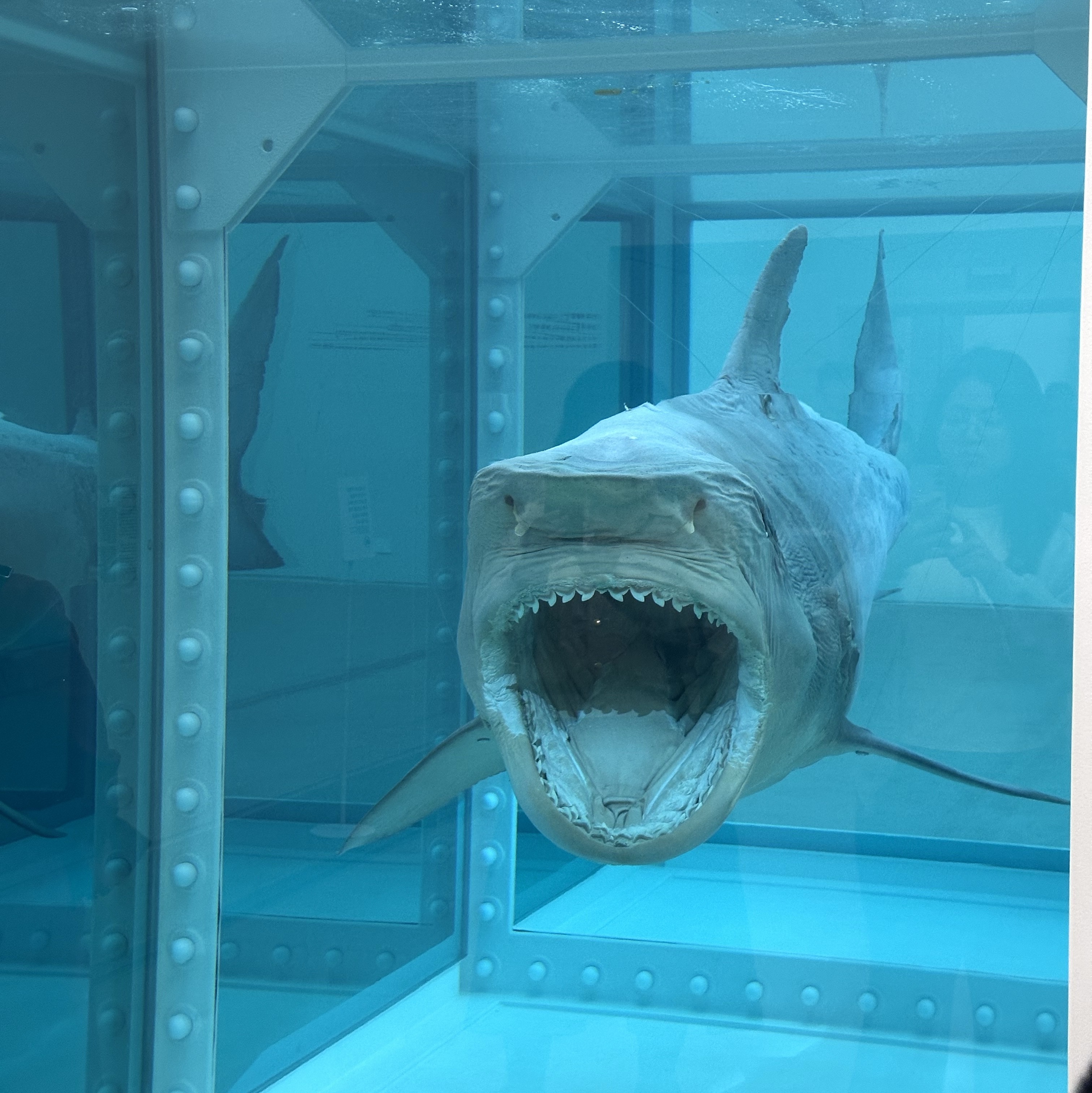 Converse x Drkshdw Drkstr Chuck 70 Ox Black, Gentle Monster x Maison Margiela MM114 Black Clear 착용 스타일 - 2