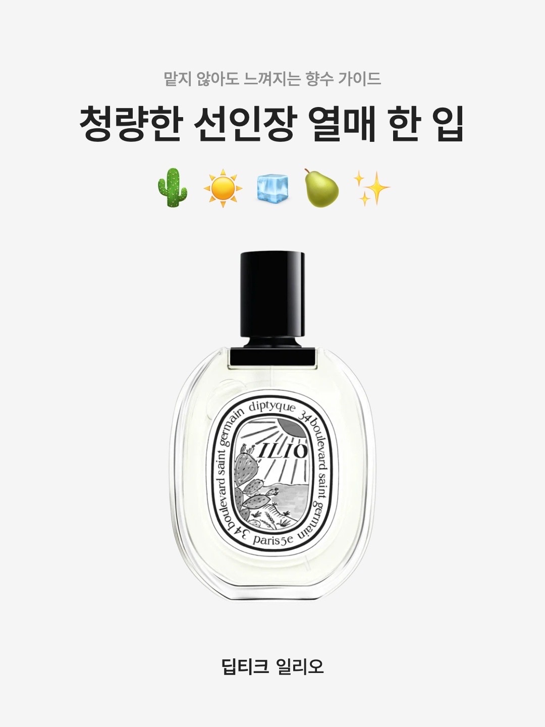 Diptyque Ilio Eau De Toilette 100ml, Diptyque Ilio Limited Edition Eau De Toilette 100ml B 착용 스타일 - 1