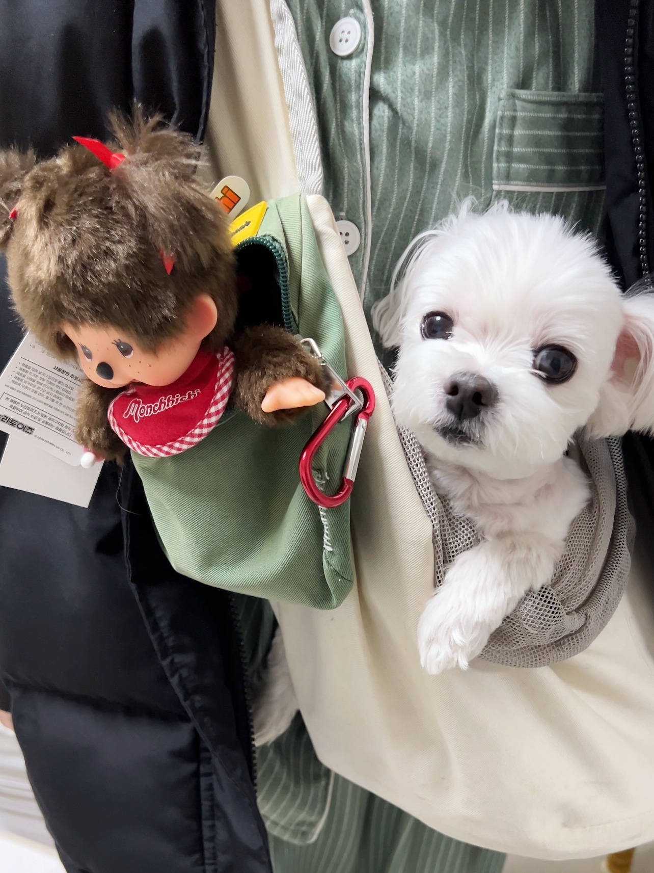 Monchhichi Premium Standard Monchhichi S Brown Girl Twin Tail 착용 스타일 - 1