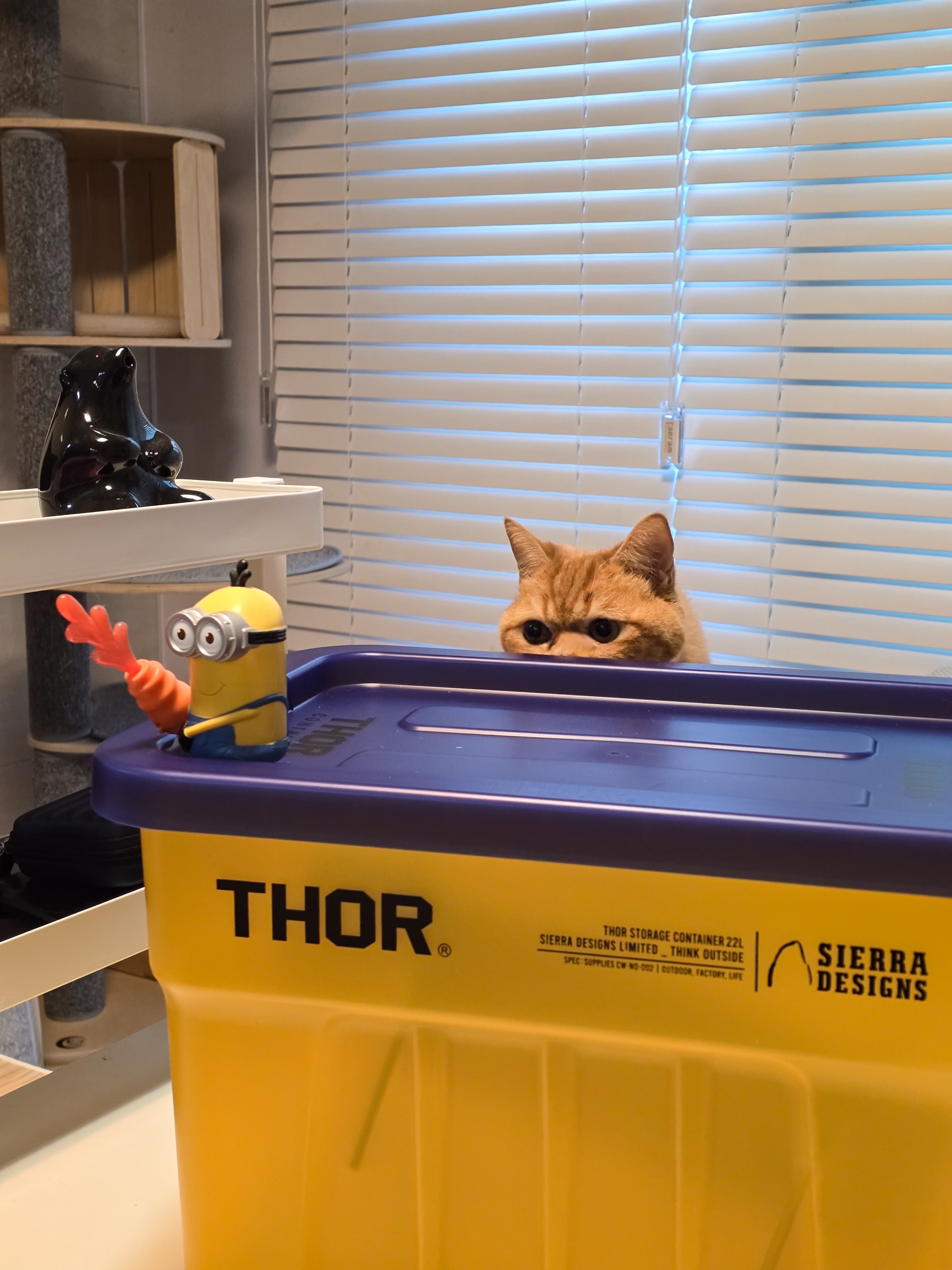 SIERRA DESIGNS GRAND MOTHERSHIP LT THOR Box 22L Clear Multi, SIERRA DESIGNS X THOR STORAGE BOX 22L LIGHT GREY 착용 스타일 - 10