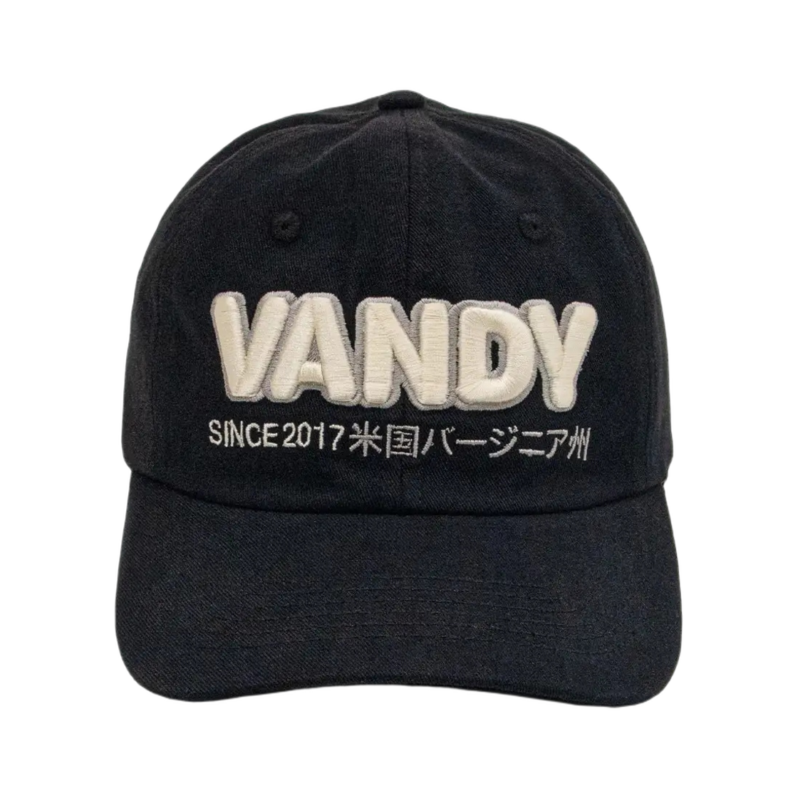 반디 더 핑크 베이직 로고 볼캡 블랙(Vandy The Pink Basic Logo Ball Cap Black)