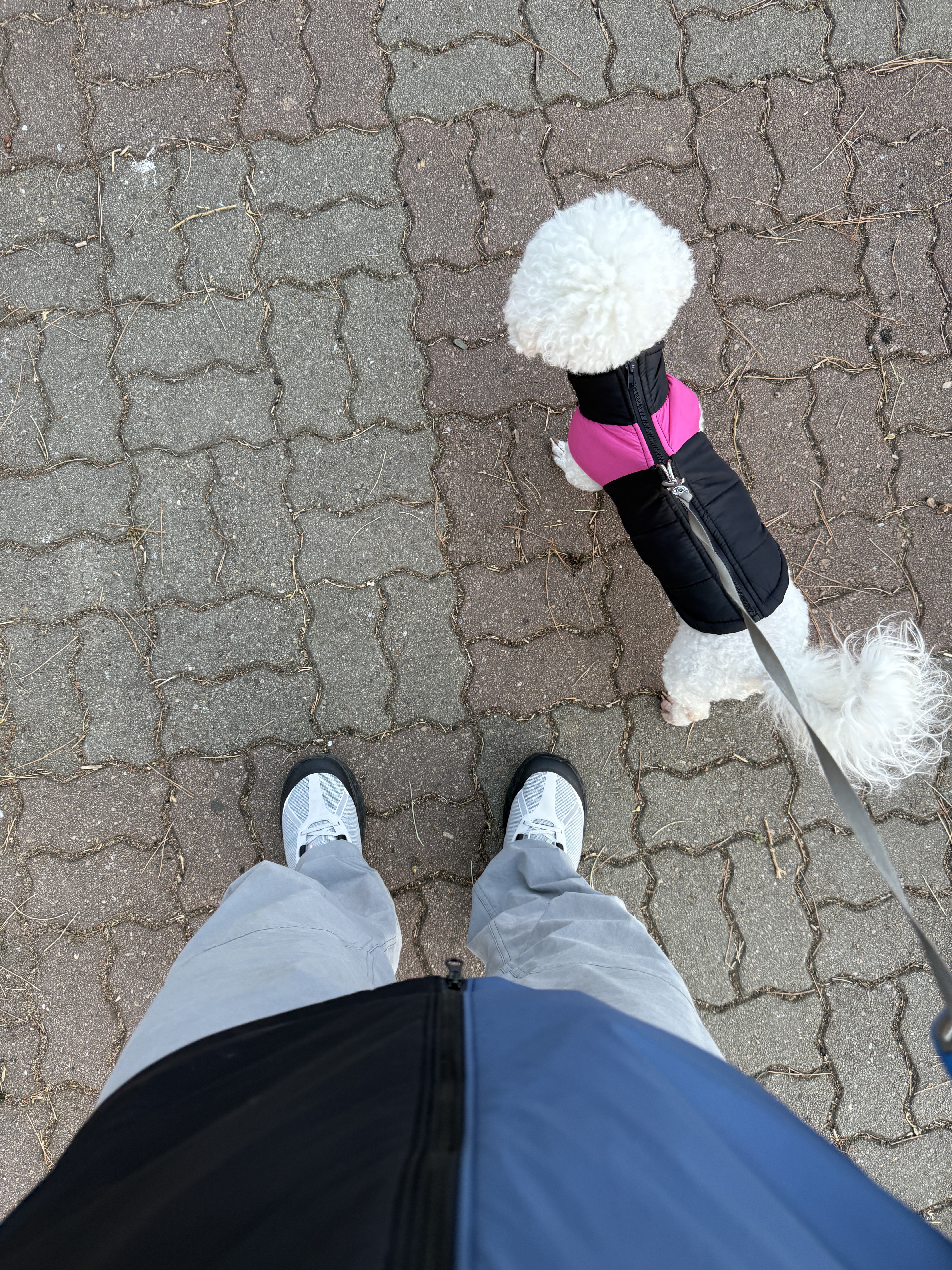 Norda 001A Pewter, Arc'teryx Cronin Cotton Pants Void 착용 스타일