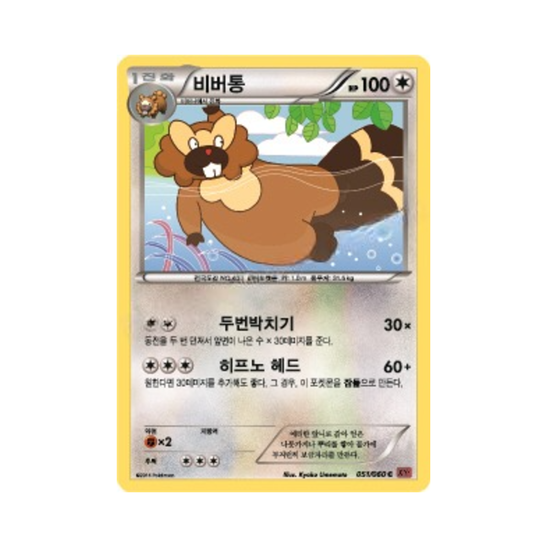 포켓몬 TCG 비버통 C Y컬렉션 (한글판)(Pokemon TCG Bibarel C Collection Y (Korean Ver.)) - 1