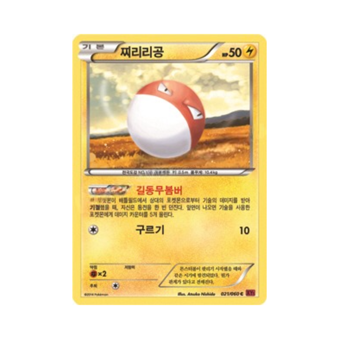 포켓몬 TCG 찌리리공 C Y컬렉션 (한글판)(Pokemon TCG Voltorb C Collection Y (Korean Ver.))
