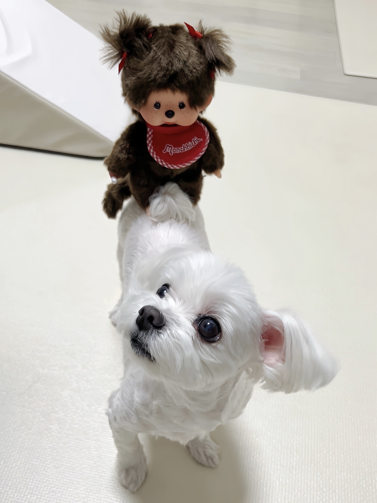 Monchhichi Premium Standard Monchhichi S Brown Girl Twin Tail 착용 스타일 - 1