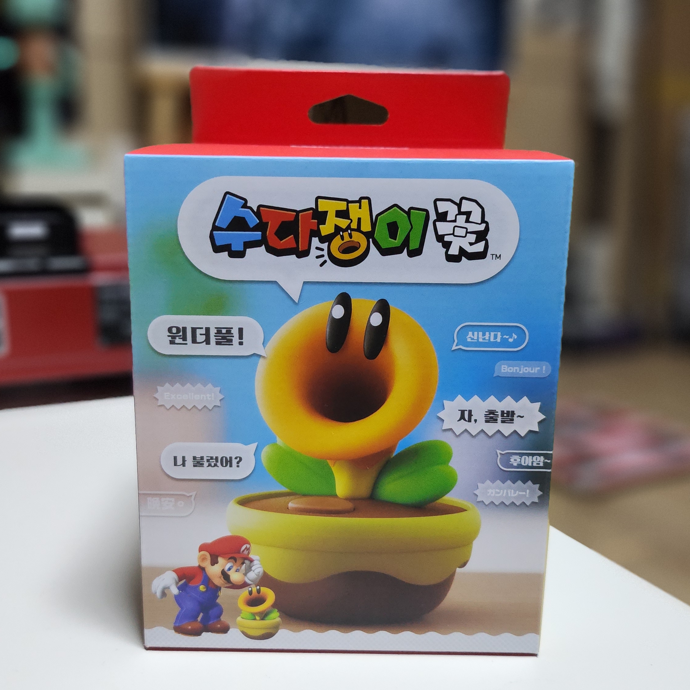 Nintendo Talking Flower (Korean Ver.) 착용 스타일 - 1