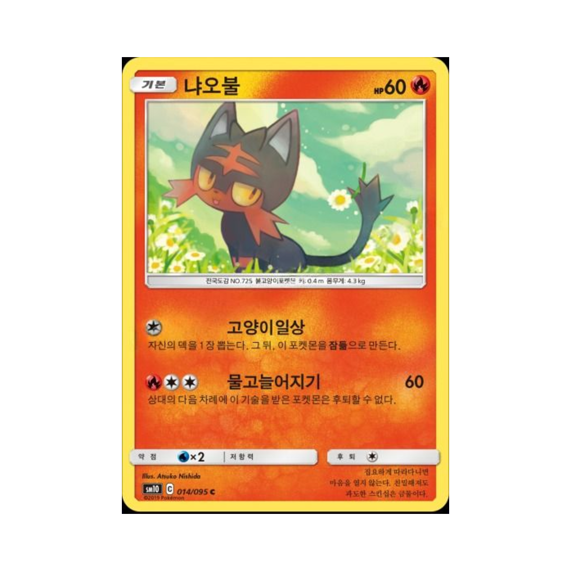 포켓몬 TCG 냐오불 C 더블블레이즈 (한글판)(Pokemon TCG Litten C Double Blaze (Korean Ver.)) - 1
